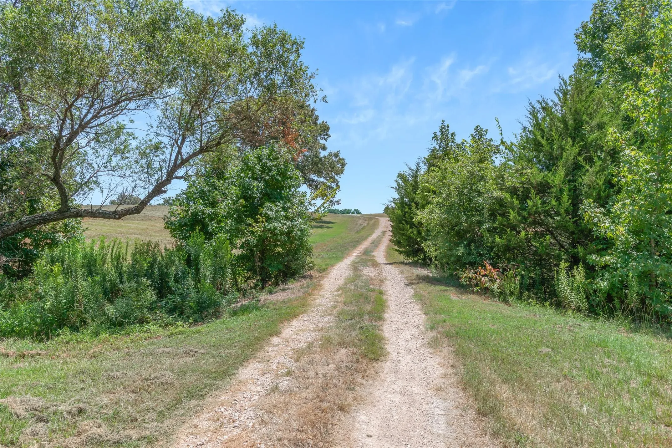 Improved Land For Sale in Van Zandt County , 1779 CALLENDER LAKE Drive, Ben Wheeler, Texas 75778, 0, 0, Garage spaces, 0 Sqft, built in 2023, mls#21353901, Real Estate Agent in Ben Wheeler, Homes For Sale in Van Zandt county, Homes For Sale in Ben Wheeler, Realtor in Ben Wheeler Texas, Real Estate Brokerage Independent Realty Texas, Luminita Cordes Realtor