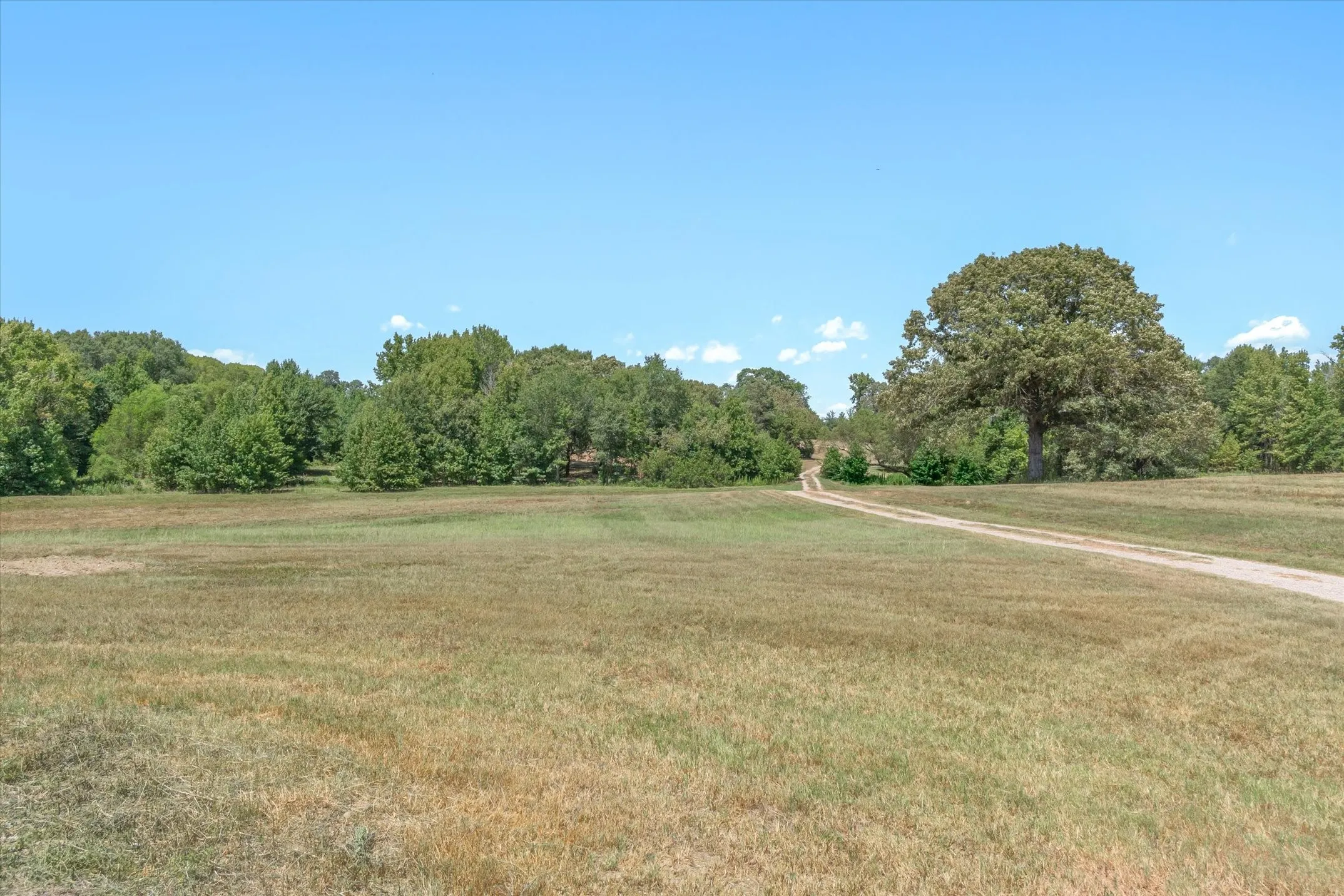 Improved Land For Sale in Van Zandt County , 1779 CALLENDER LAKE Drive, Ben Wheeler, Texas 75778, 0, 0, Garage spaces, 0 Sqft, built in 2023, mls#21353901, Real Estate Agent in Ben Wheeler, Homes For Sale in Van Zandt county, Homes For Sale in Ben Wheeler, Realtor in Ben Wheeler Texas, Real Estate Brokerage Independent Realty Texas, Luminita Cordes Realtor