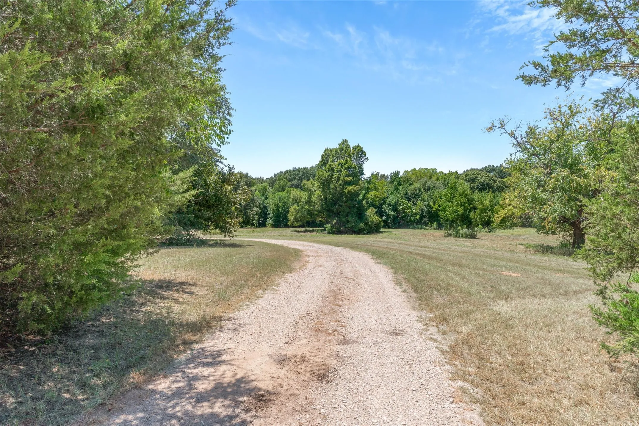 Gravel drive leading through a grassy expanse with mature trees and a clear blue sky