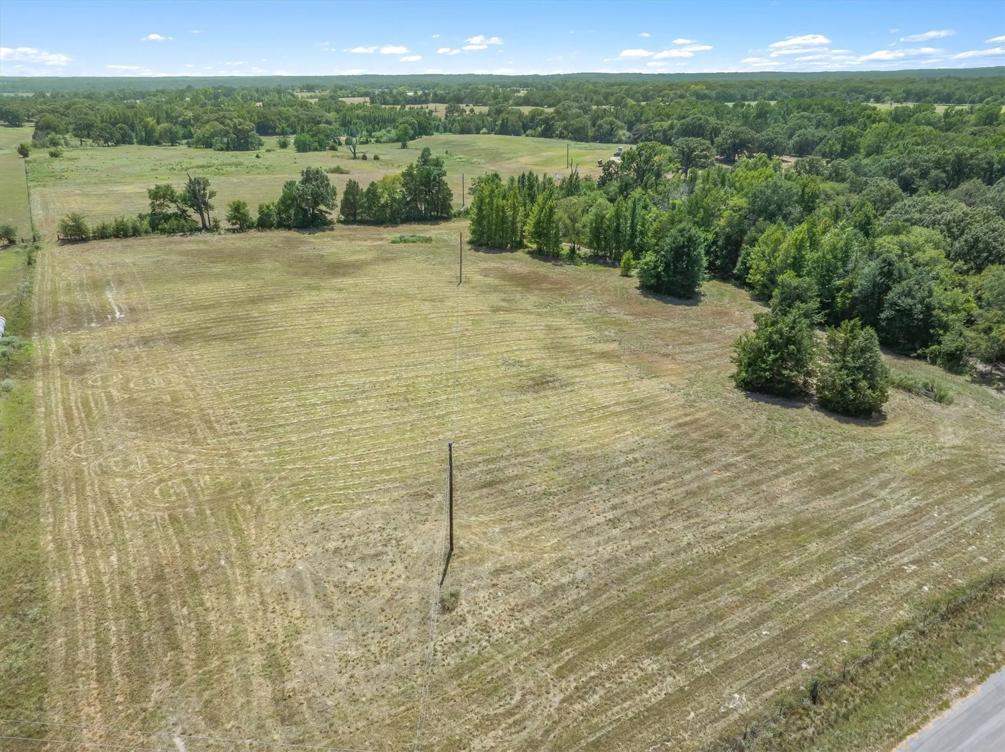 Expansive open field with scattered tree lines