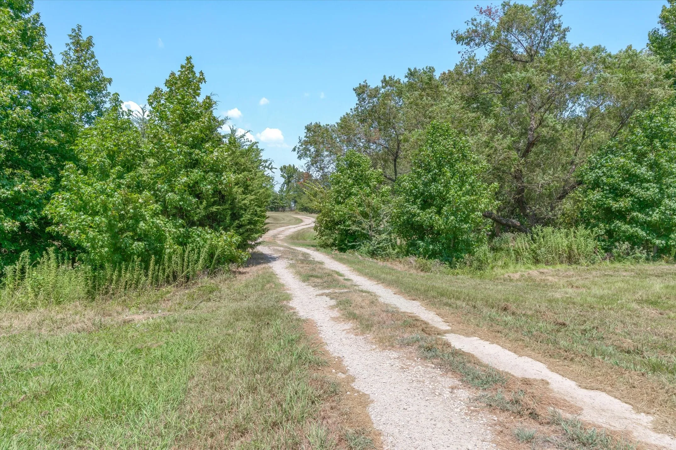 Gravel pathway with surrounding mature trees and natural landscaping