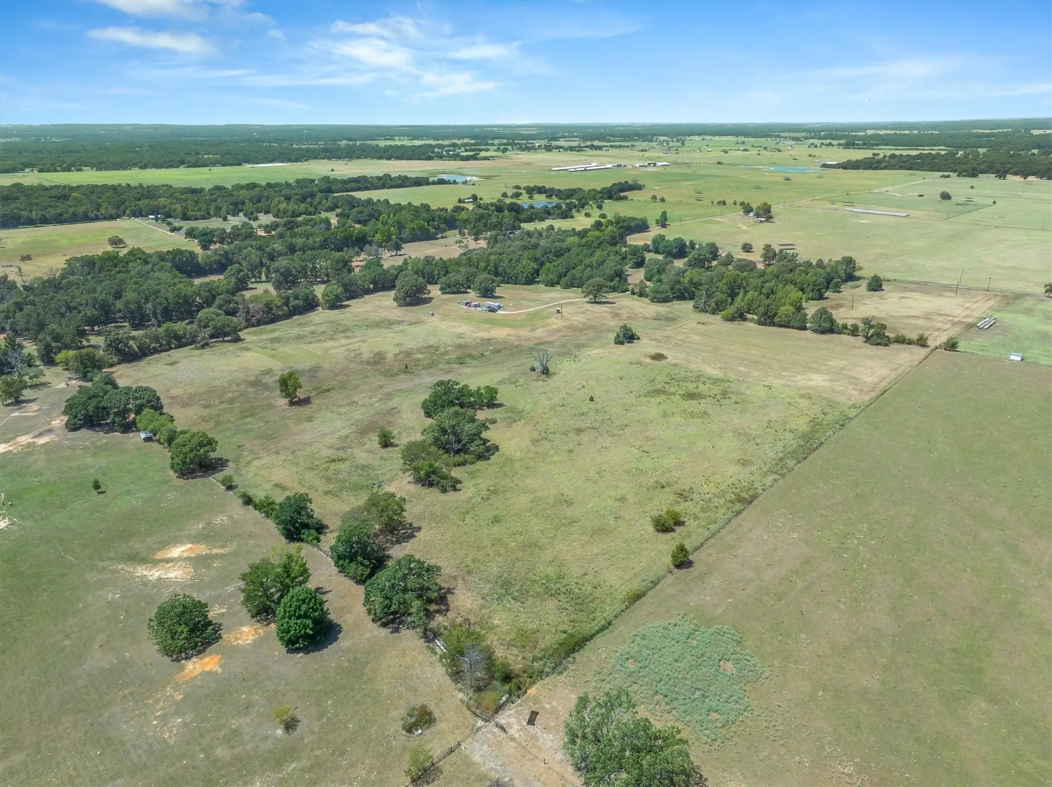 Expansive open fields with scattered mature trees and distant residential structures