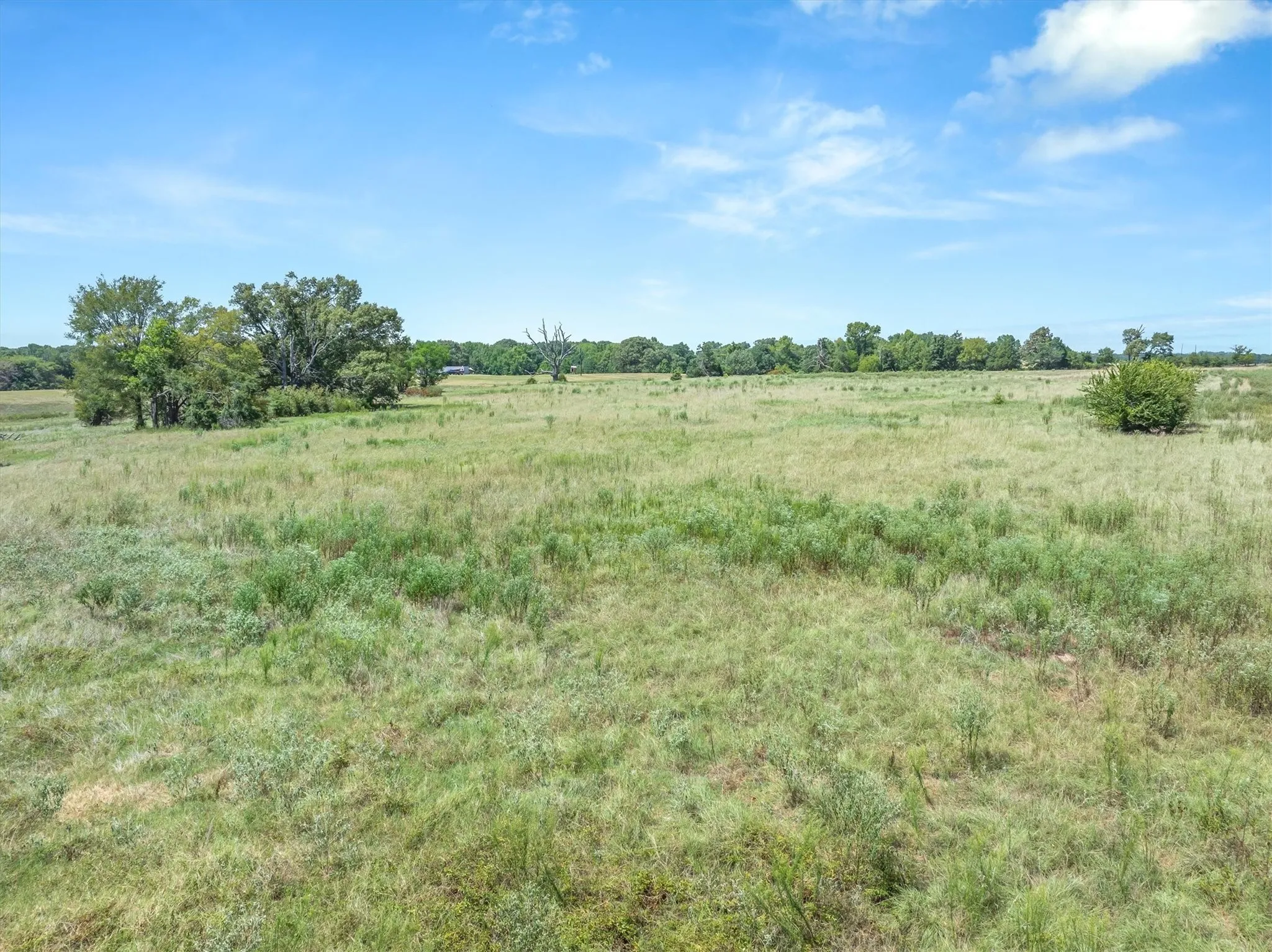 Improved Land For Sale in Van Zandt County , 1779 CALLENDER LAKE Drive, Ben Wheeler, Texas 75778, 0, 0, Garage spaces, 0 Sqft, built in 2023, mls#21353901, Real Estate Agent in Ben Wheeler, Homes For Sale in Van Zandt county, Homes For Sale in Ben Wheeler, Realtor in Ben Wheeler Texas, Real Estate Brokerage Independent Realty Texas, Luminita Cordes Realtor