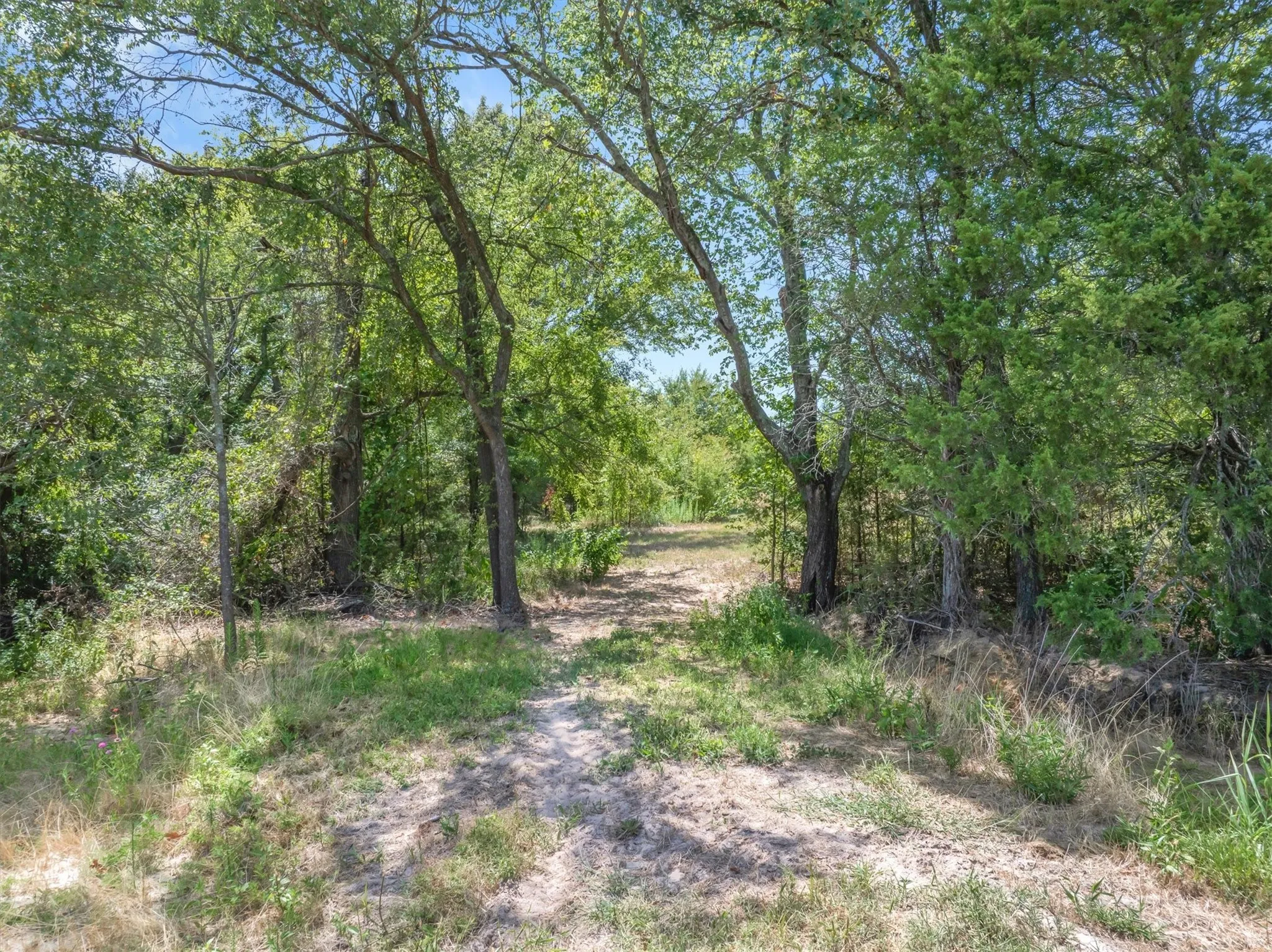 Improved Land For Sale in Van Zandt County , 1779 CALLENDER LAKE Drive, Ben Wheeler, Texas 75778, 0, 0, Garage spaces, 0 Sqft, built in 2023, mls#21353901, Real Estate Agent in Ben Wheeler, Homes For Sale in Van Zandt county, Homes For Sale in Ben Wheeler, Realtor in Ben Wheeler Texas, Real Estate Brokerage Independent Realty Texas, Luminita Cordes Realtor