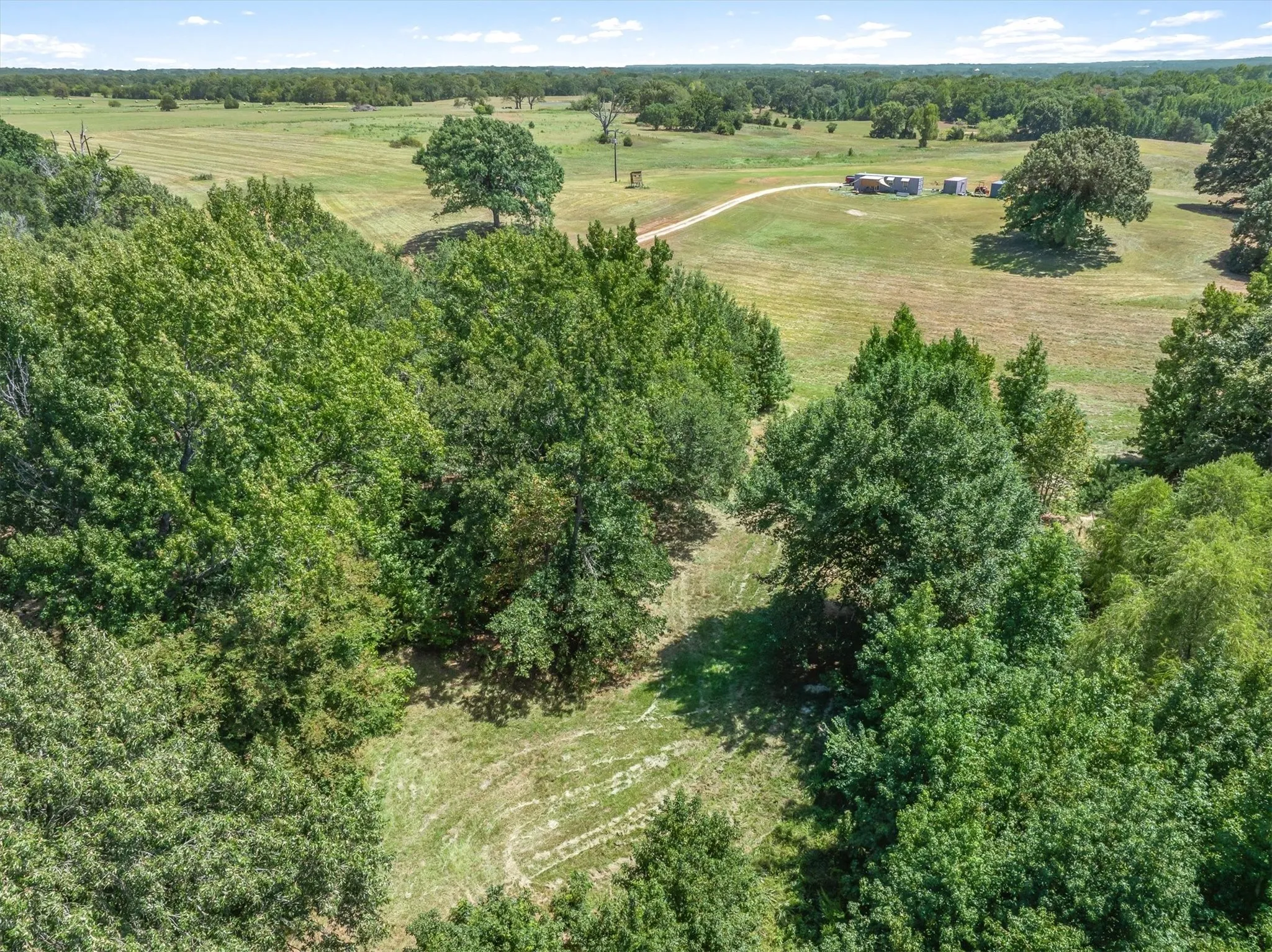 Expansive acreage featuring mature trees and open fields