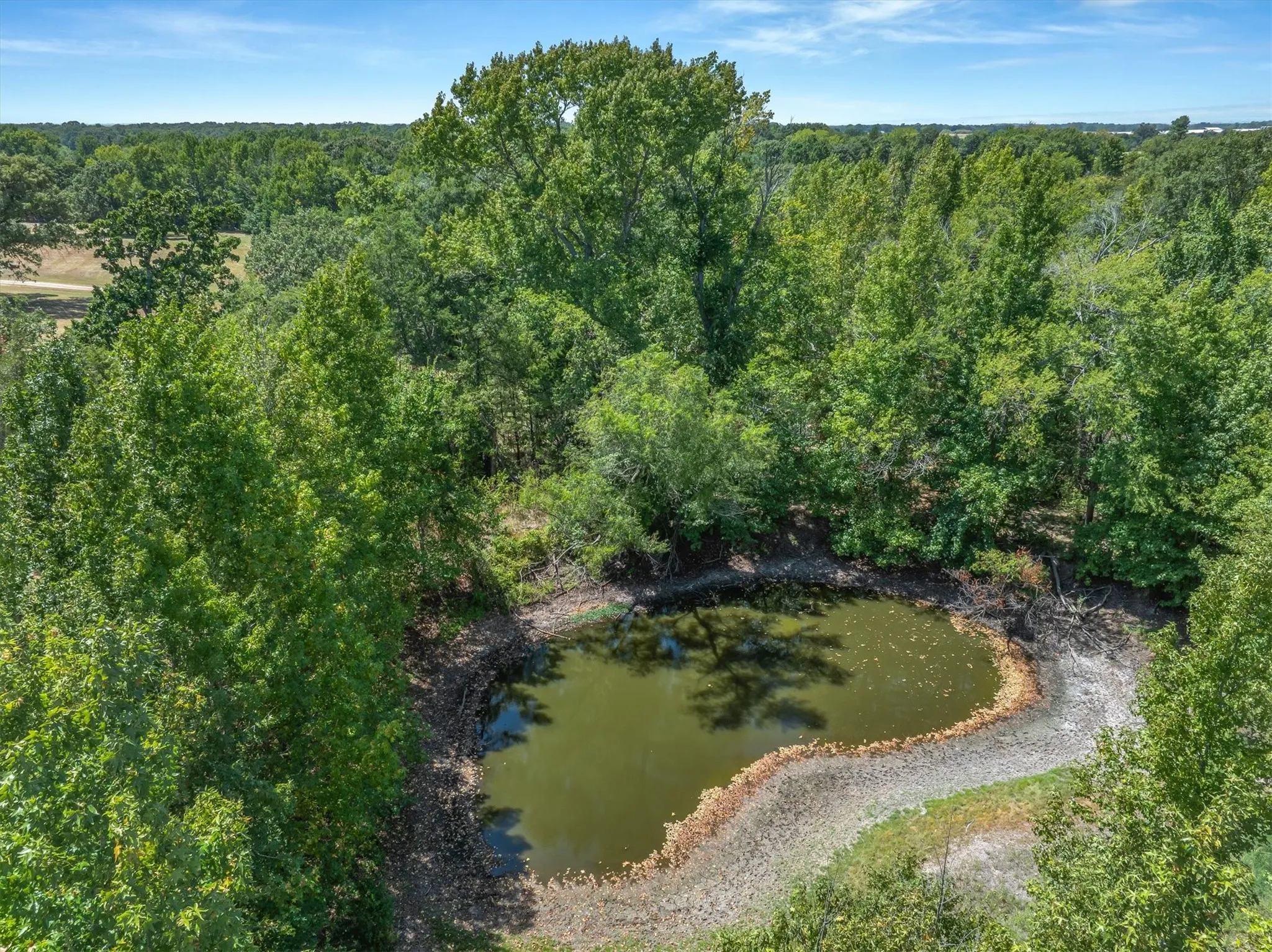 A pond surrounded by extensive mature trees