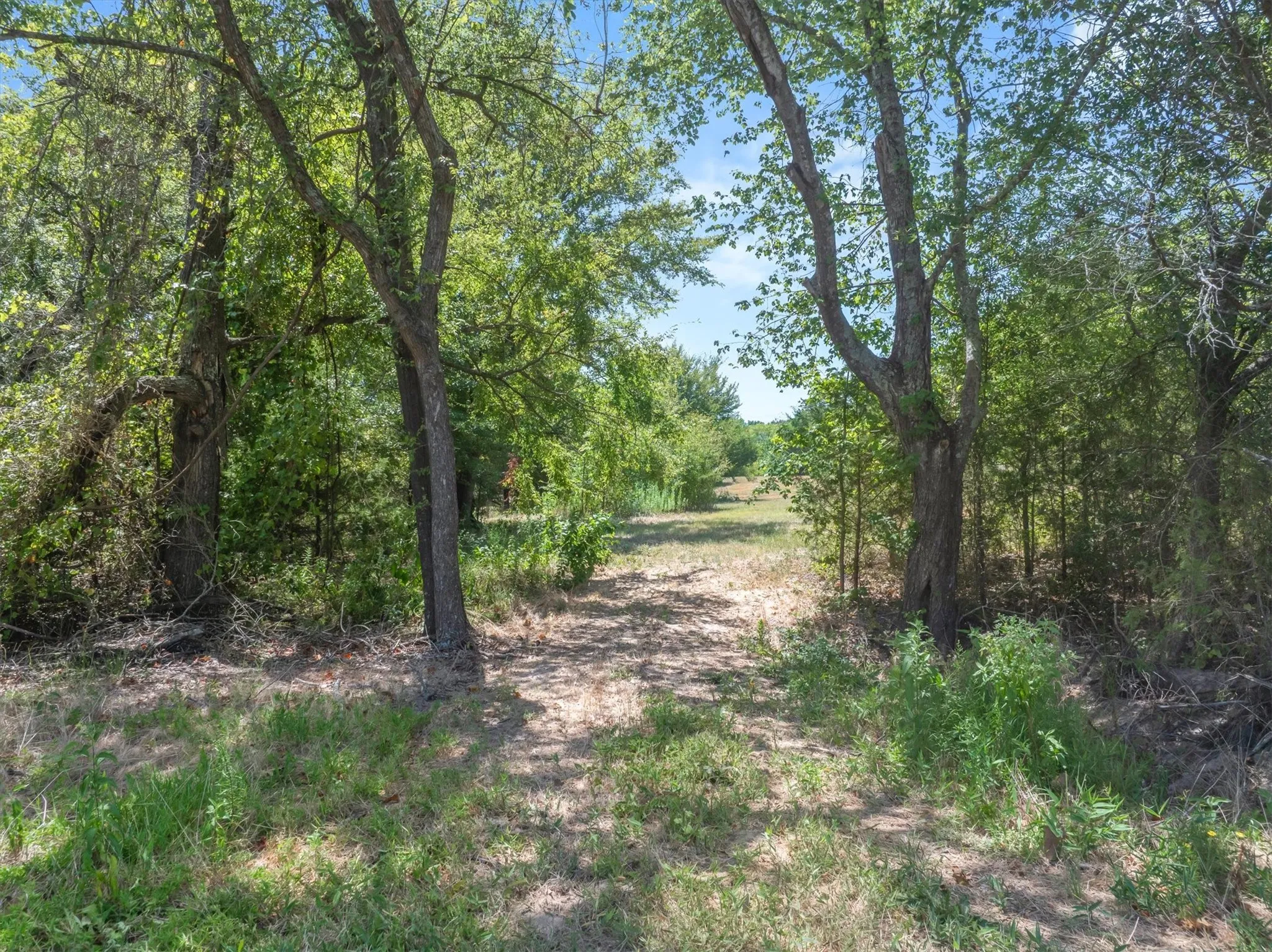 Wooded acreage with a natural path and mature trees