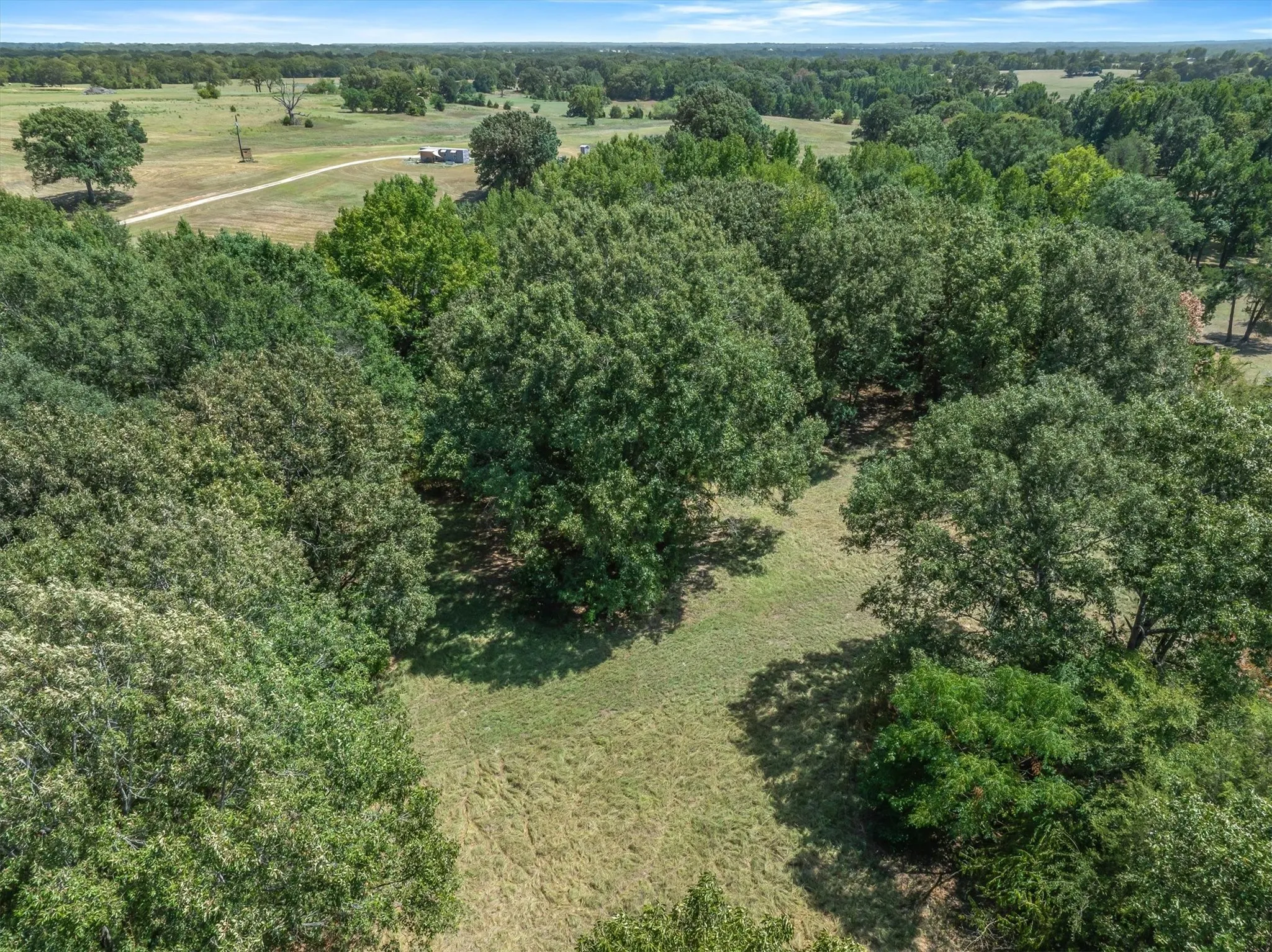 Expansive acreage featuring mature trees and open grassy areas