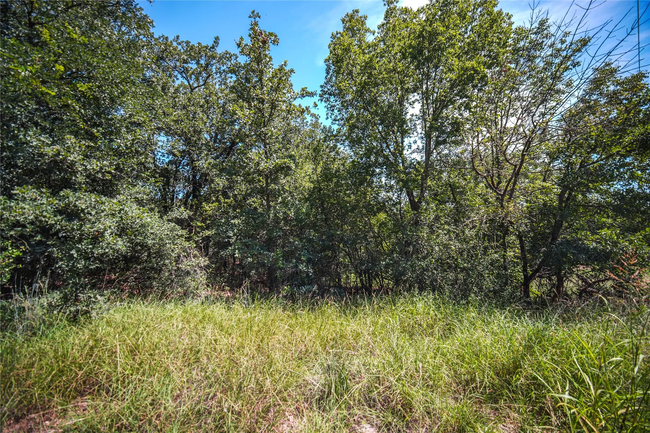 Unimproved Land For Sale in Wise County , TBD Round Hill Way, Runaway Bay, Texas 76426, 0, 0, Garage spaces, 0 Sqft, built in 0, mls#21368023, Real Estate Agent in Runaway Bay, Homes For Sale in Wise county, Homes For Sale in Runaway Bay, Realtor in Runaway Bay Texas, Real Estate Brokerage Independent Realty Texas, Luminita Cordes Realtor