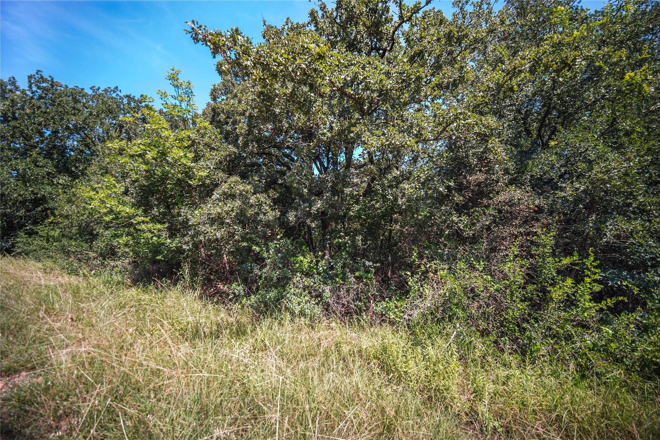Unimproved Land For Sale in Wise County , TBD Round Hill Way, Runaway Bay, Texas 76426, 0, 0, Garage spaces, 0 Sqft, built in 0, mls#21368023, Real Estate Agent in Runaway Bay, Homes For Sale in Wise county, Homes For Sale in Runaway Bay, Realtor in Runaway Bay Texas, Real Estate Brokerage Independent Realty Texas, Luminita Cordes Realtor