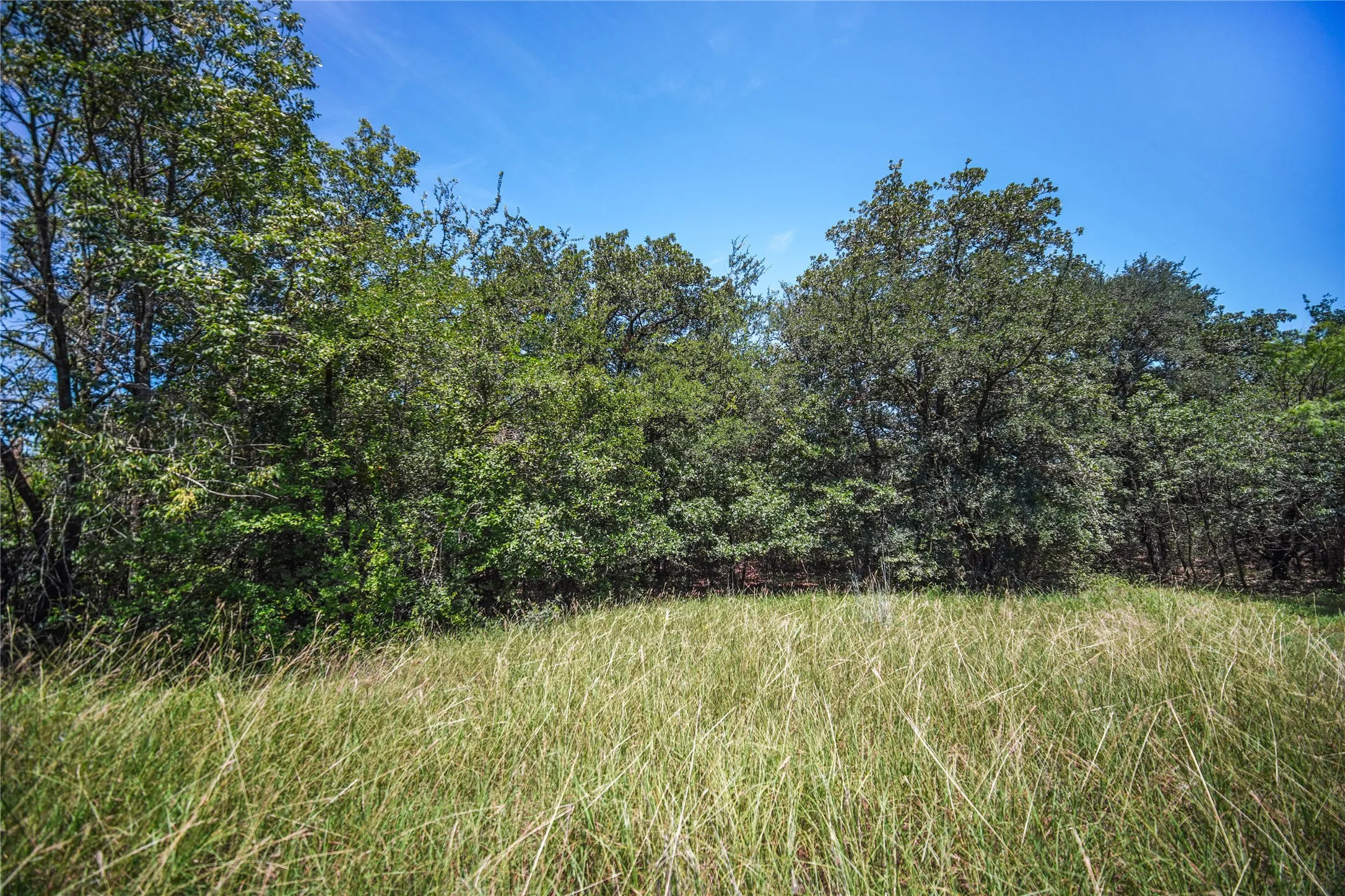 Unimproved Land For Sale in Wise County , TBD Round Hill Way, Runaway Bay, Texas 76426, 0, 0, Garage spaces, 0 Sqft, built in 0, mls#21368023, Real Estate Agent in Runaway Bay, Homes For Sale in Wise county, Homes For Sale in Runaway Bay, Realtor in Runaway Bay Texas, Real Estate Brokerage Independent Realty Texas, Luminita Cordes Realtor