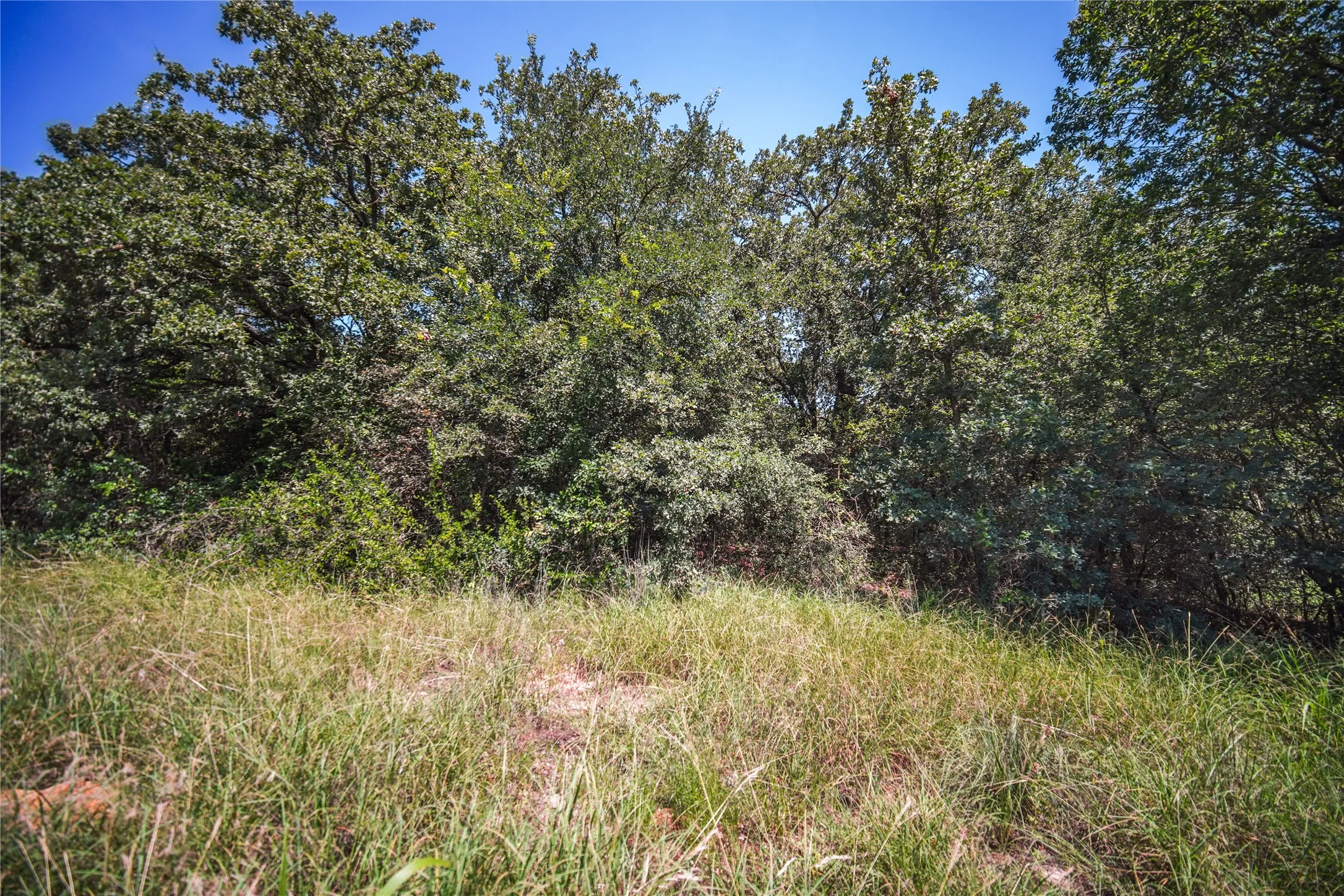 Unimproved Land For Sale in Wise County , TBD Round Hill Way, Runaway Bay, Texas 76426, 0, 0, Garage spaces, 0 Sqft, built in 0, mls#21368023, Real Estate Agent in Runaway Bay, Homes For Sale in Wise county, Homes For Sale in Runaway Bay, Realtor in Runaway Bay Texas, Real Estate Brokerage Independent Realty Texas, Luminita Cordes Realtor