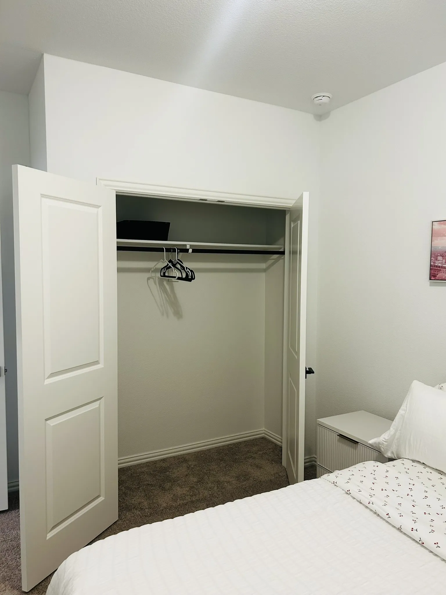 Double-panel closet doors open to reveal a carpeted interior with a single hanging rod
