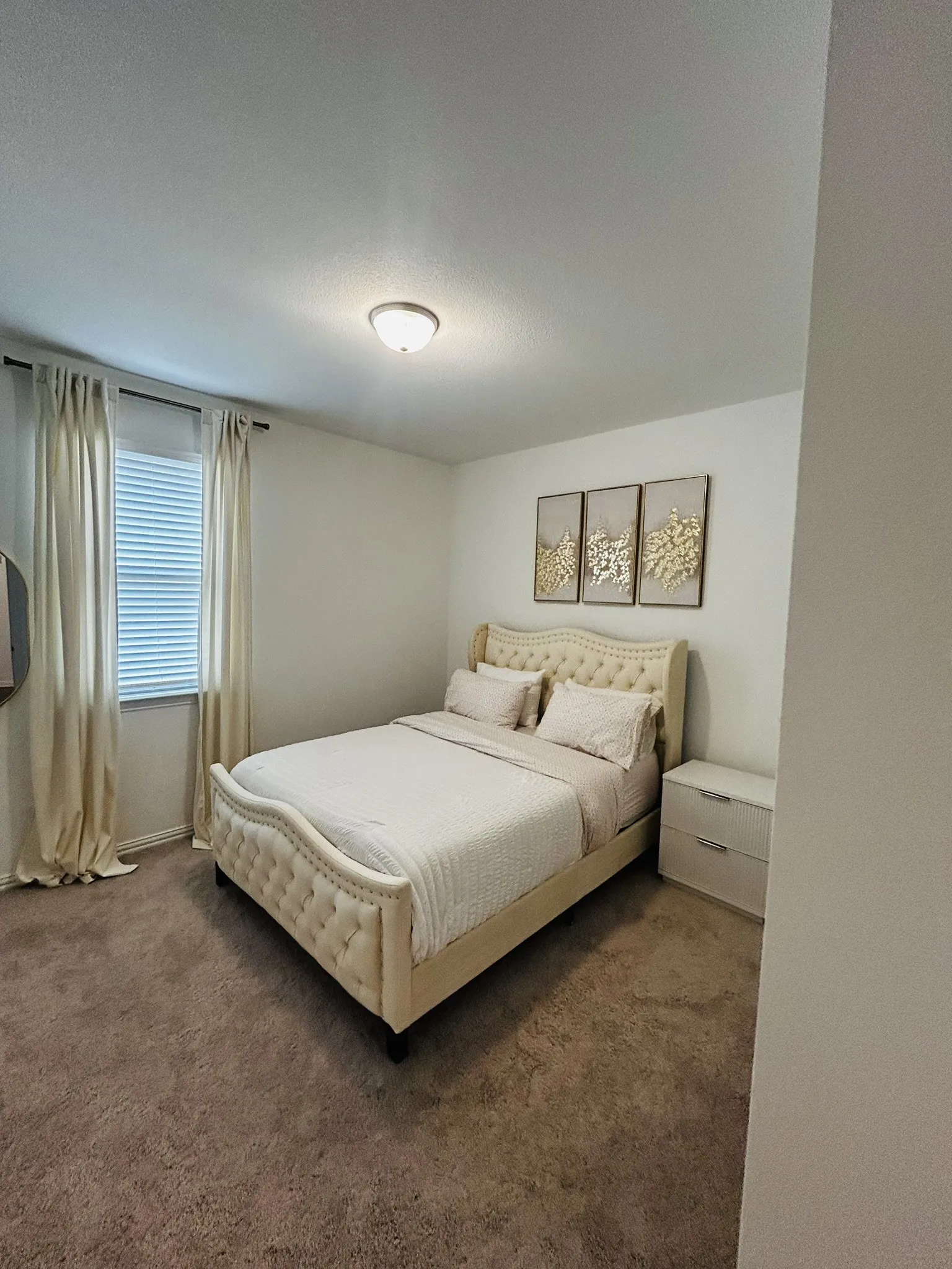 Plush carpet flooring, neutral wall tones, and a window with blinds and drapes