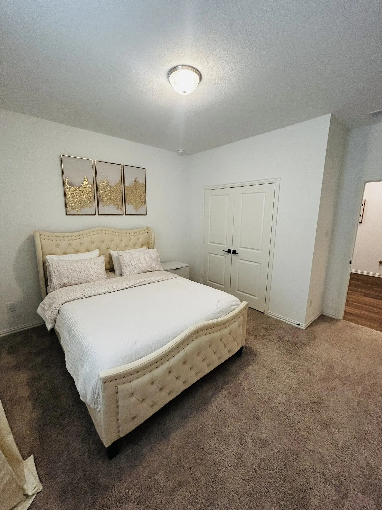 Plush carpet flooring, white painted walls, and a semi-flush ceiling light fixture