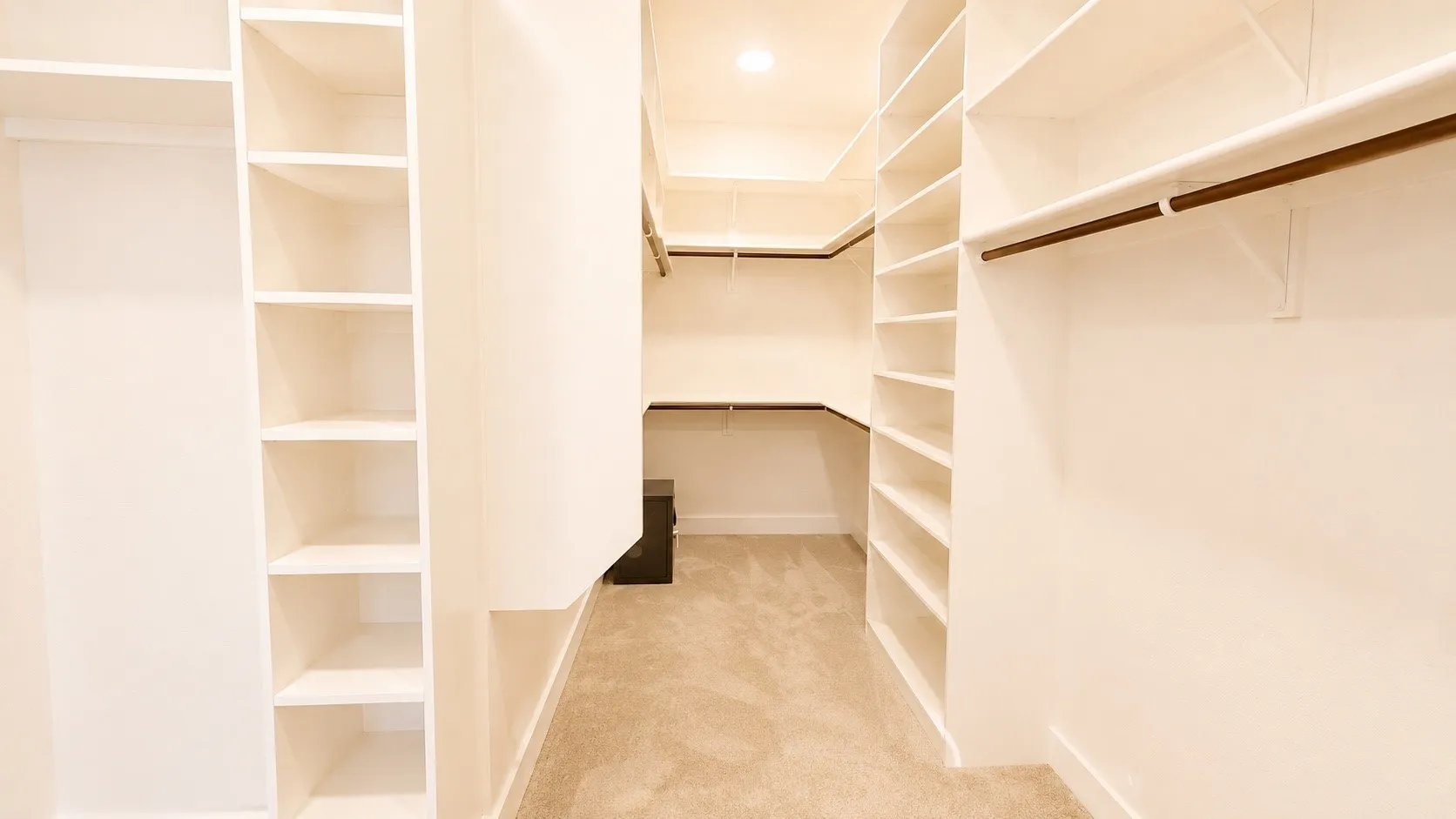 Built-in shelving, hanging rods, and carpeted flooring