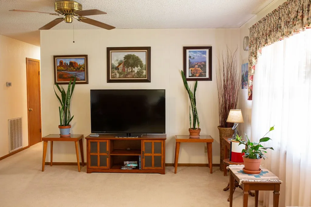 Ceiling fan with brass-tone accents
