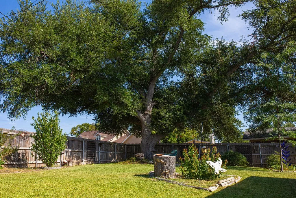 Lush green lawn with mature trees providing extensive canopy