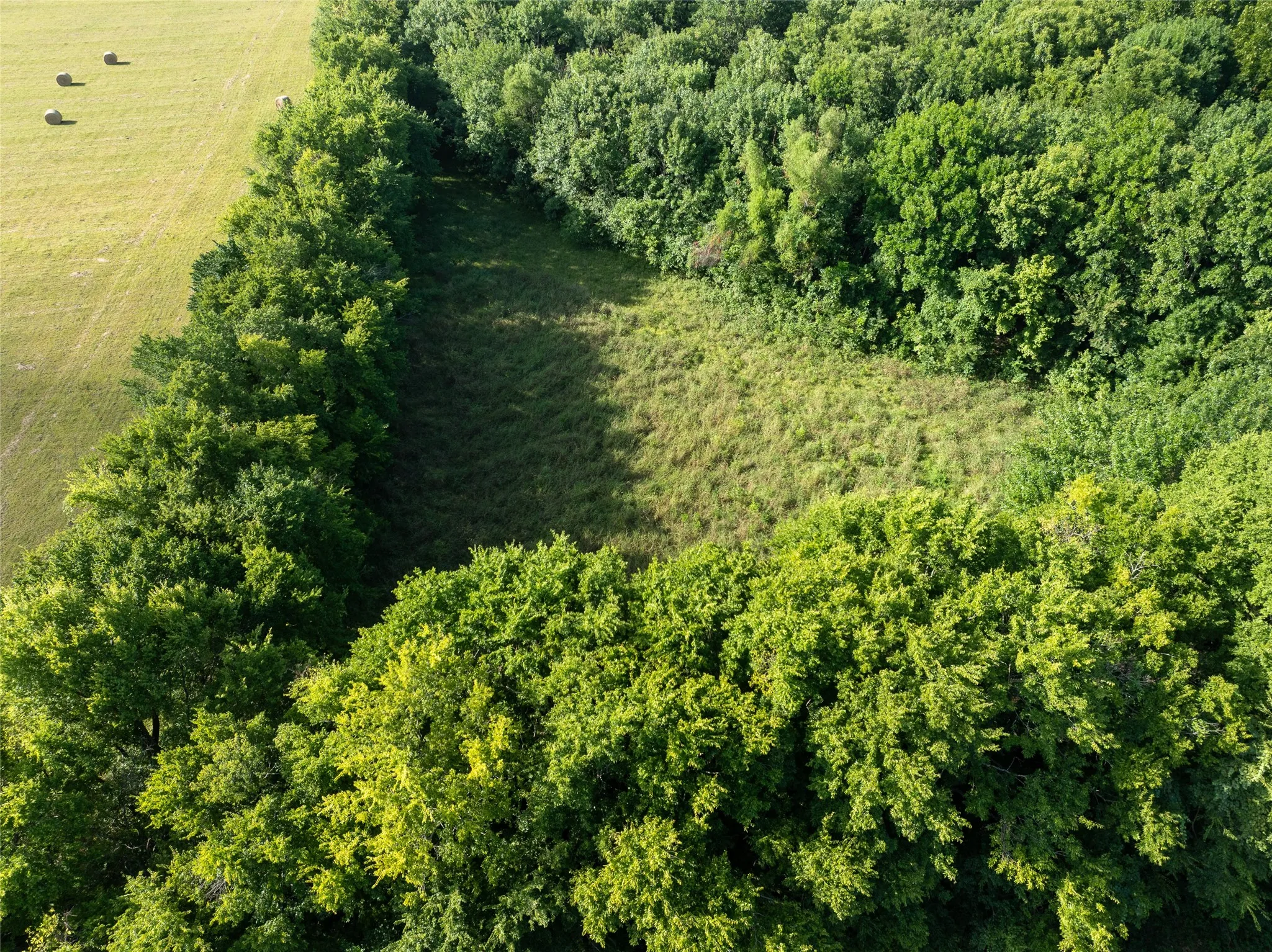 Ranch For Sale in Lamar County , TBD FM 1501, Deport, Texas 75435, 0, 0, Garage spaces, 0 Sqft, built in 0, mls#21366628, Real Estate Agent in Deport, Homes For Sale in Lamar county, Homes For Sale in Deport, Realtor in Deport Texas, Real Estate Brokerage Independent Realty Texas, Luminita Cordes Realtor