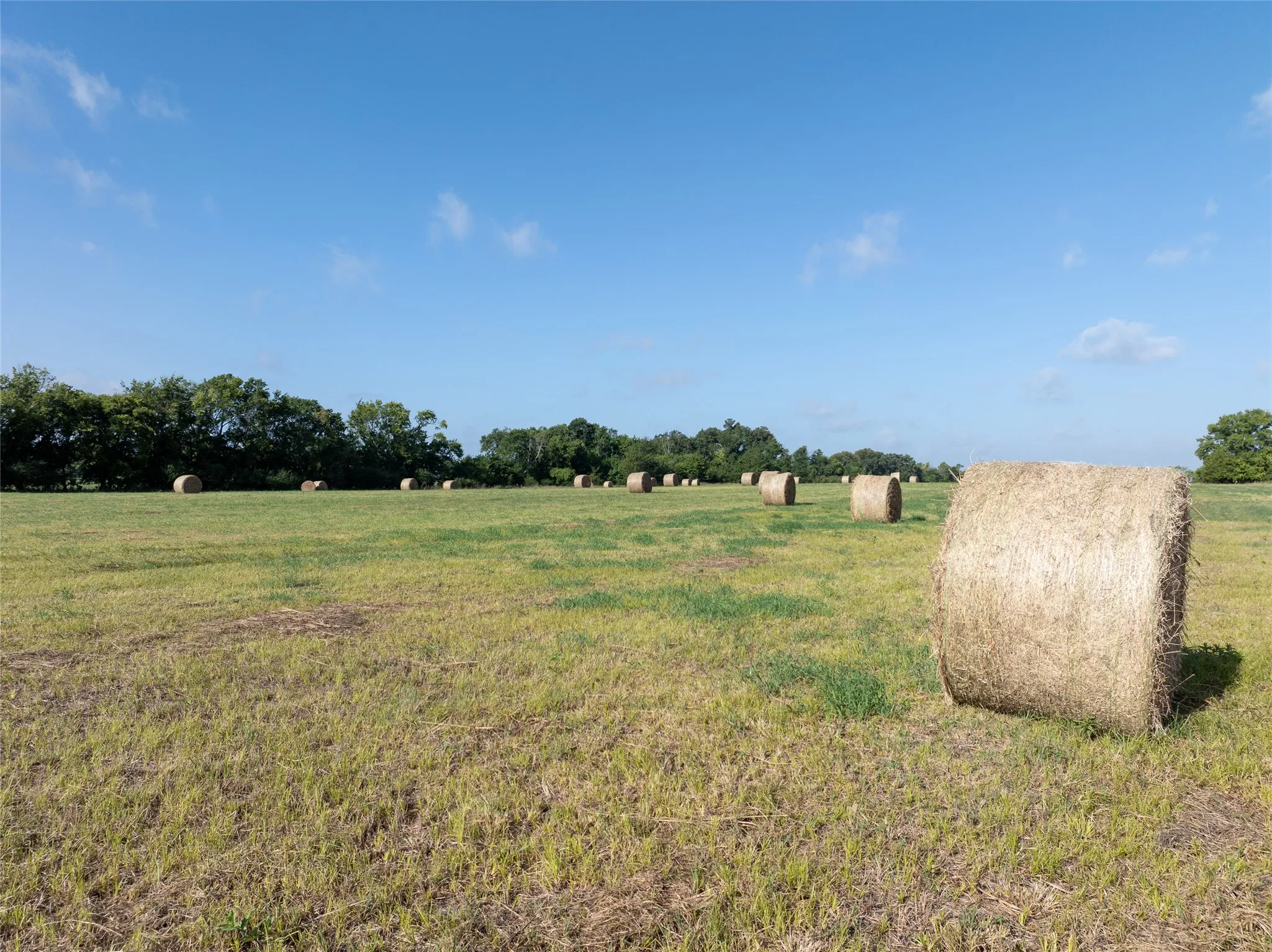 Ranch For Sale in Lamar County , TBD FM 1501, Deport, Texas 75435, 0, 0, Garage spaces, 0 Sqft, built in 0, mls#21366628, Real Estate Agent in Deport, Homes For Sale in Lamar county, Homes For Sale in Deport, Realtor in Deport Texas, Real Estate Brokerage Independent Realty Texas, Luminita Cordes Realtor
