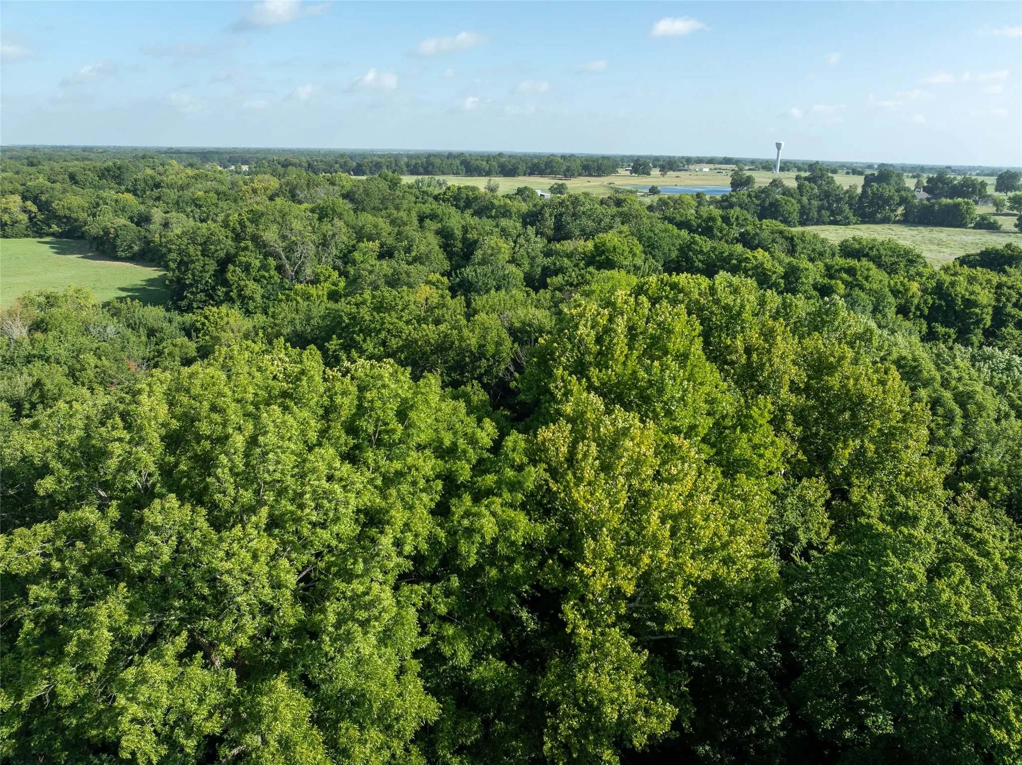 Ranch For Sale in Lamar County , TBD FM 1501, Deport, Texas 75435, 0, 0, Garage spaces, 0 Sqft, built in 0, mls#21366628, Real Estate Agent in Deport, Homes For Sale in Lamar county, Homes For Sale in Deport, Realtor in Deport Texas, Real Estate Brokerage Independent Realty Texas, Luminita Cordes Realtor