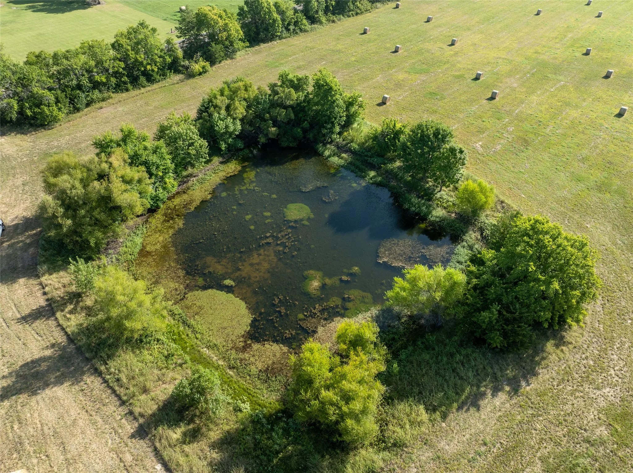 Ranch For Sale in Lamar County , TBD FM 1501, Deport, Texas 75435, 0, 0, Garage spaces, 0 Sqft, built in 0, mls#21366628, Real Estate Agent in Deport, Homes For Sale in Lamar county, Homes For Sale in Deport, Realtor in Deport Texas, Real Estate Brokerage Independent Realty Texas, Luminita Cordes Realtor