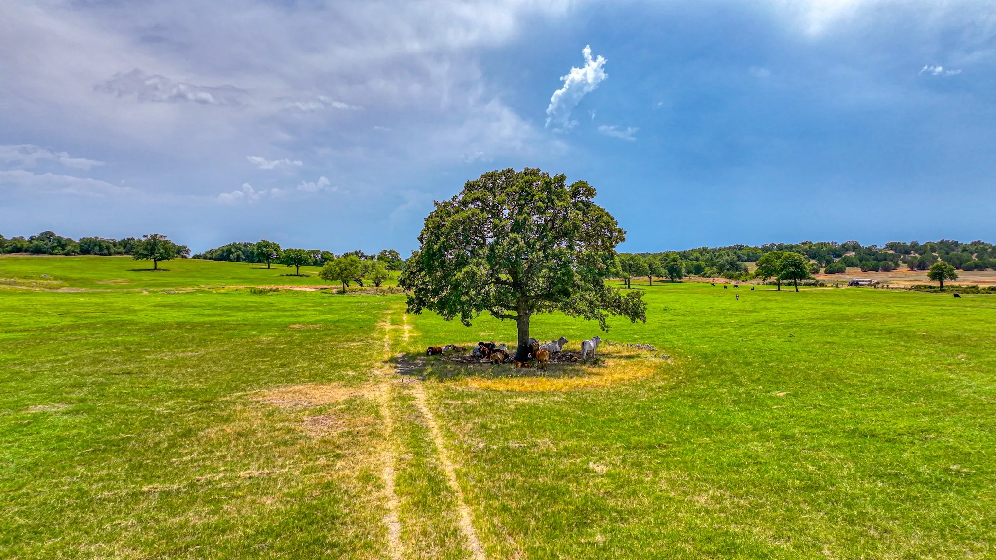 Unimproved Land For Sale in Parker County , Tract 3 Three Quarter Loop, Poolville, Texas 76487, 0, 0, Garage spaces, 0 Sqft, built in 0, mls#21365474, Real Estate Agent in Poolville, Homes For Sale in Parker county, Homes For Sale in Poolville, Realtor in Poolville Texas, Real Estate Brokerage Independent Realty Texas, Luminita Cordes Realtor