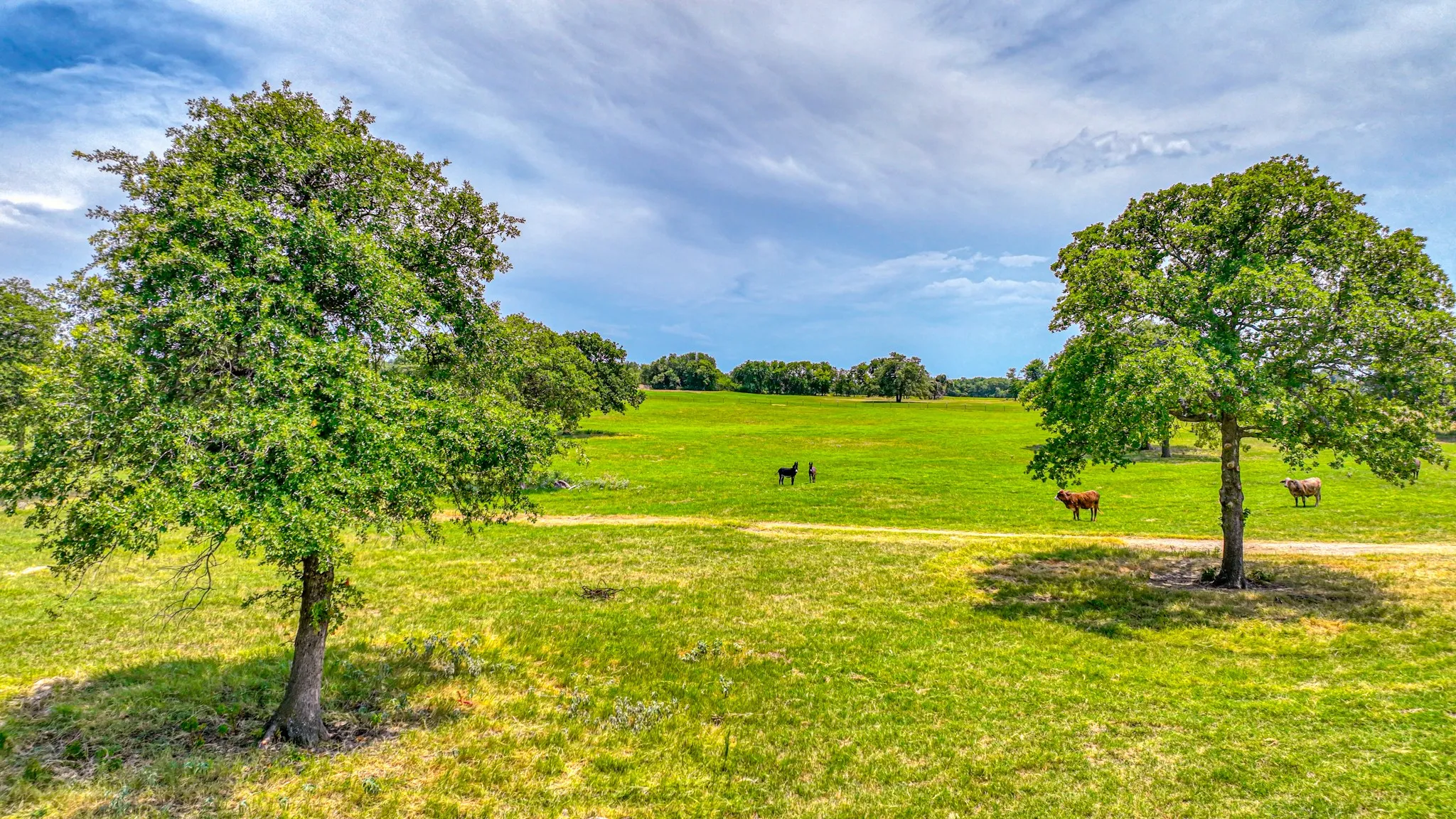 Unimproved Land For Sale in Parker County , Tract 3 Three Quarter Loop, Poolville, Texas 76487, 0, 0, Garage spaces, 0 Sqft, built in 0, mls#21365474, Real Estate Agent in Poolville, Homes For Sale in Parker county, Homes For Sale in Poolville, Realtor in Poolville Texas, Real Estate Brokerage Independent Realty Texas, Luminita Cordes Realtor