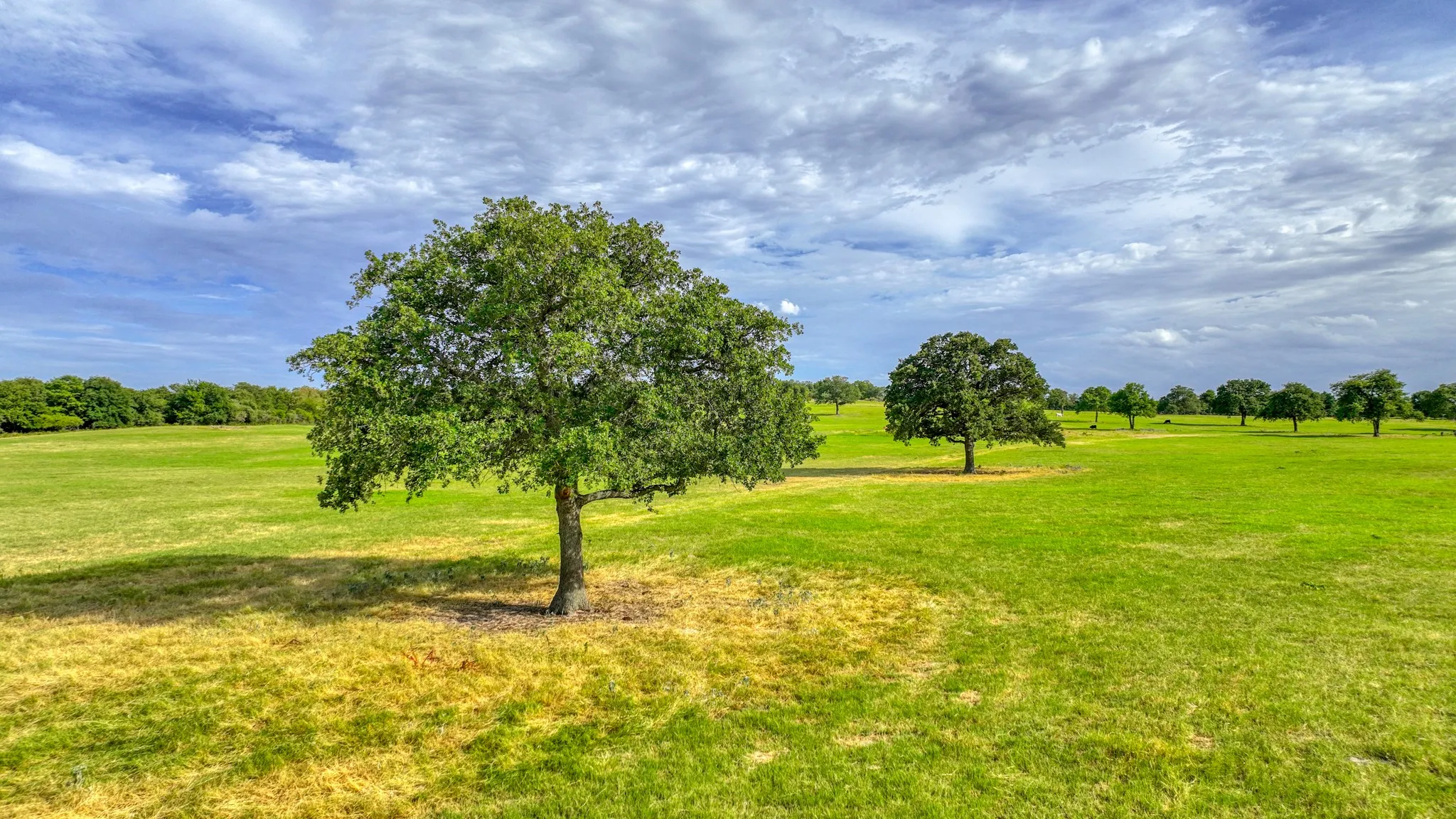 Unimproved Land For Sale in Parker County , Tract 3 Three Quarter Loop, Poolville, Texas 76487, 0, 0, Garage spaces, 0 Sqft, built in 0, mls#21365474, Real Estate Agent in Poolville, Homes For Sale in Parker county, Homes For Sale in Poolville, Realtor in Poolville Texas, Real Estate Brokerage Independent Realty Texas, Luminita Cordes Realtor