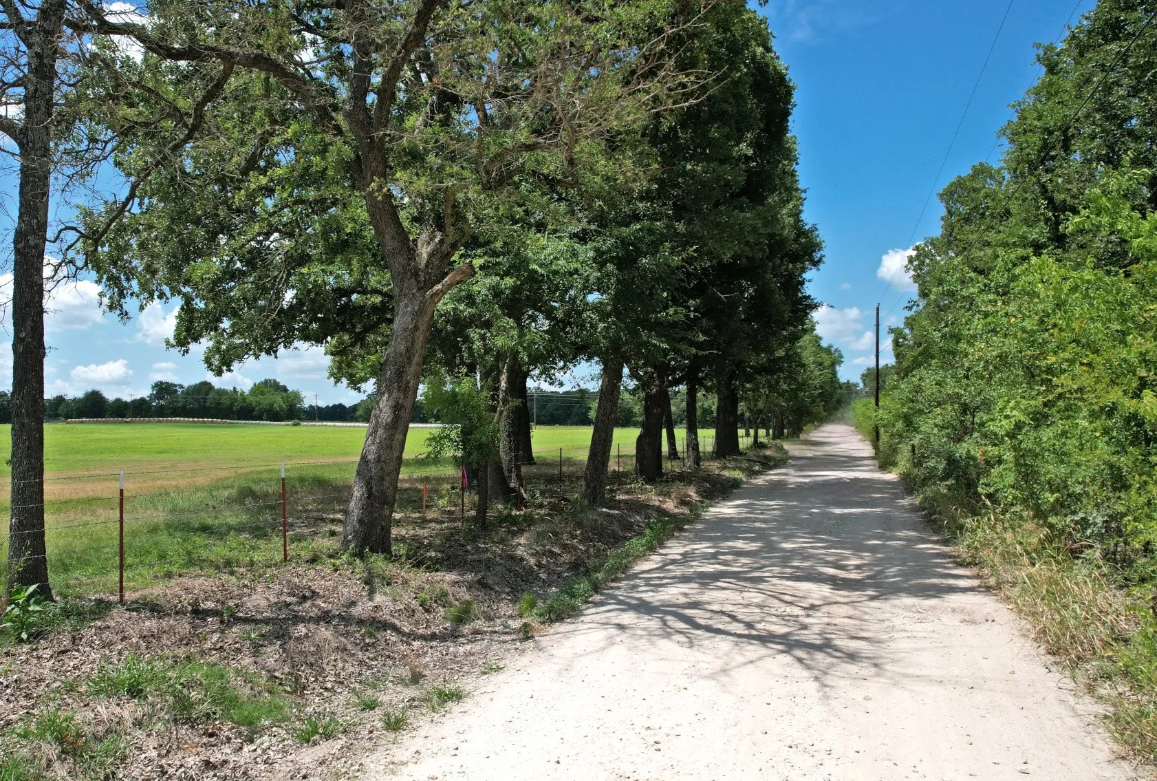 Unimproved Land For Sale in Van Zandt County , Lot 9 VZ County Road 3222, Wills Point, Texas 75169, 0, 0, Garage spaces, 0 Sqft, built in 0, mls#21368146, Real Estate Agent in Wills Point, Homes For Sale in Van Zandt county, Homes For Sale in Wills Point, Realtor in Wills Point Texas, Real Estate Brokerage Independent Realty Texas, Luminita Cordes Realtor