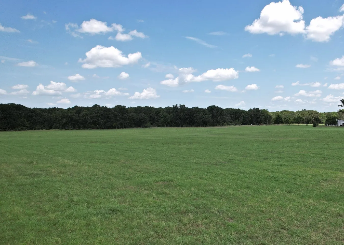 Unimproved Land For Sale in Van Zandt County , Lot 9 VZ County Road 3222, Wills Point, Texas 75169, 0, 0, Garage spaces, 0 Sqft, built in 0, mls#21368146, Real Estate Agent in Wills Point, Homes For Sale in Van Zandt county, Homes For Sale in Wills Point, Realtor in Wills Point Texas, Real Estate Brokerage Independent Realty Texas, Luminita Cordes Realtor