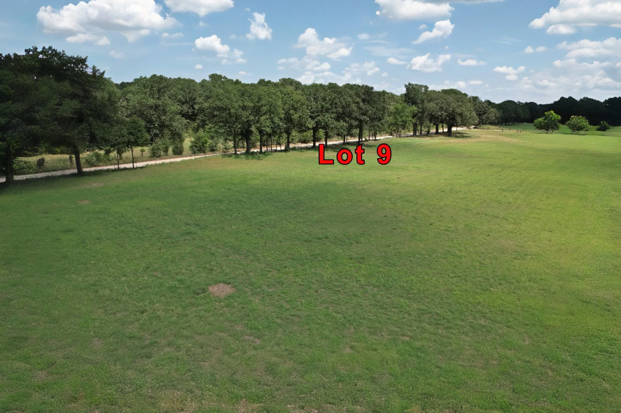 Unimproved Land For Sale in Van Zandt County , Lot 9 VZ County Road 3222, Wills Point, Texas 75169, 0, 0, Garage spaces, 0 Sqft, built in 0, mls#21368146, Real Estate Agent in Wills Point, Homes For Sale in Van Zandt county, Homes For Sale in Wills Point, Realtor in Wills Point Texas, Real Estate Brokerage Independent Realty Texas, Luminita Cordes Realtor