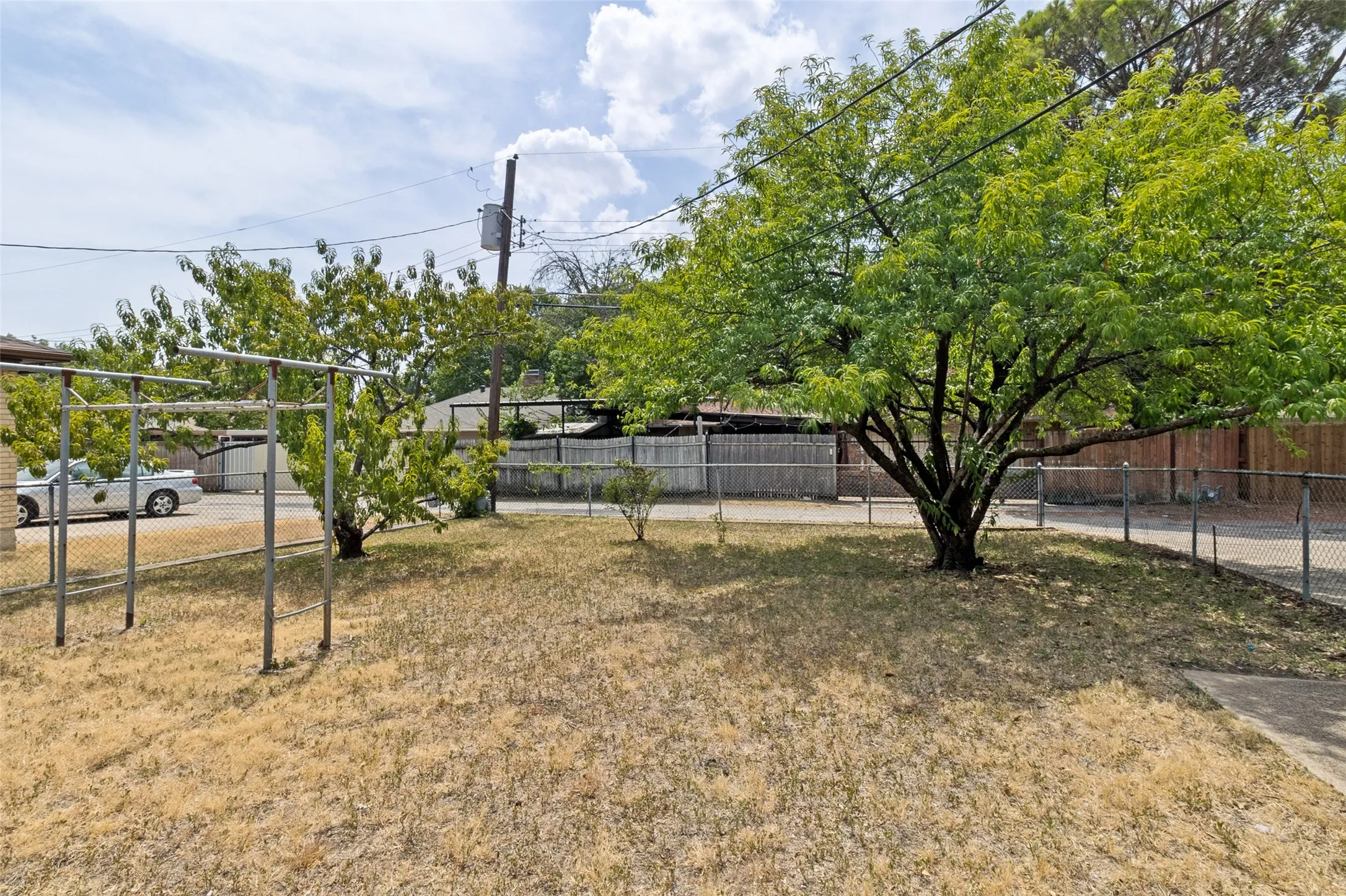 Expansive backyard features  established tree and a chain link fence.
