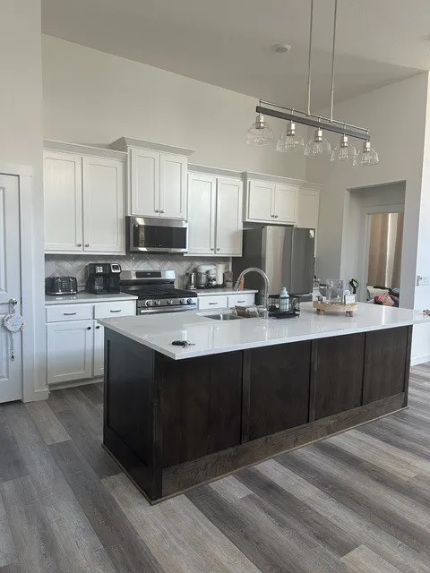 Single Family Residence For Rent in Dallas County , 2621 Chablis Drive, Grand Prairie, Texas 75054, 2 Bedroom, 2 Bathroom, 2 Garage spaces, 1,390 Sqft, built in 2024, mls#21366160, Real Estate Agent in Grand Prairie, Homes For Rent in Dallas county, Homes For Rent in Grand Prairie, Realtor in Grand Prairie Texas, Real Estate Brokerage Independent Realty Texas, Luminita Cordes Realtor