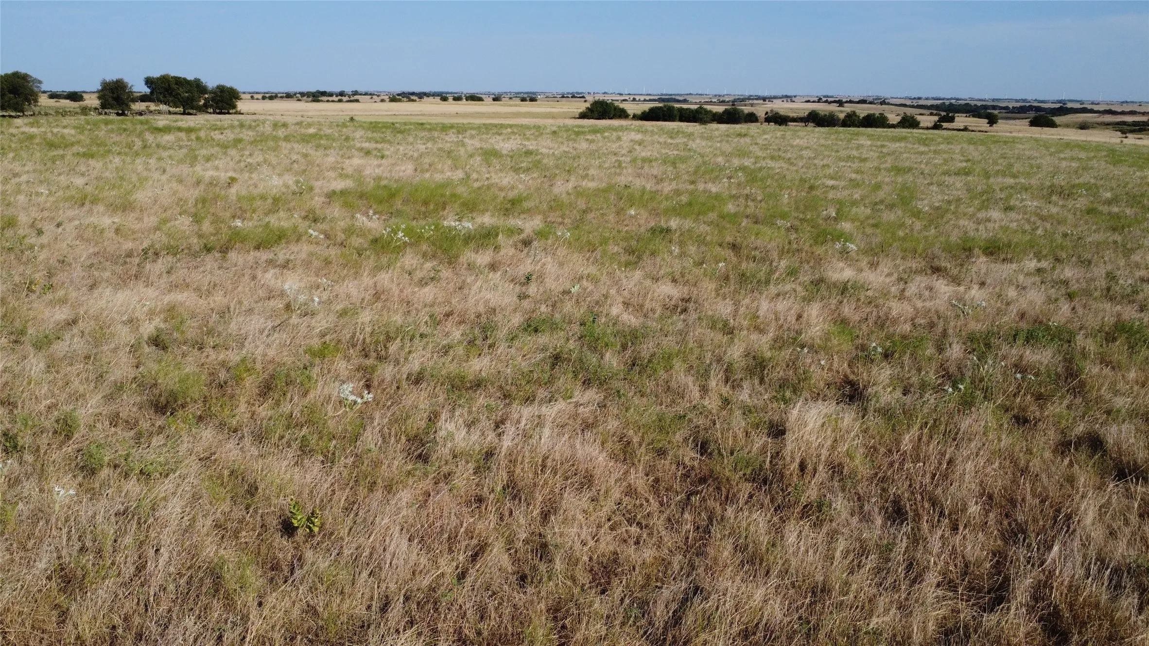 Unimproved Land For Sale in Cooke County , 1630 Fm 1198, Muenster, Texas 76252, 0, 0, Garage spaces, 0 Sqft, built in 0, Price $1,499,999, mls#21367943, Real Estate Agent in Muenster, Homes For Sale in Cooke county, Homes For Sale in Muenster, Realtor in Muenster Texas, Real Estate Brokerage Independent Realty Texas, Luminita Cordes Realtor
