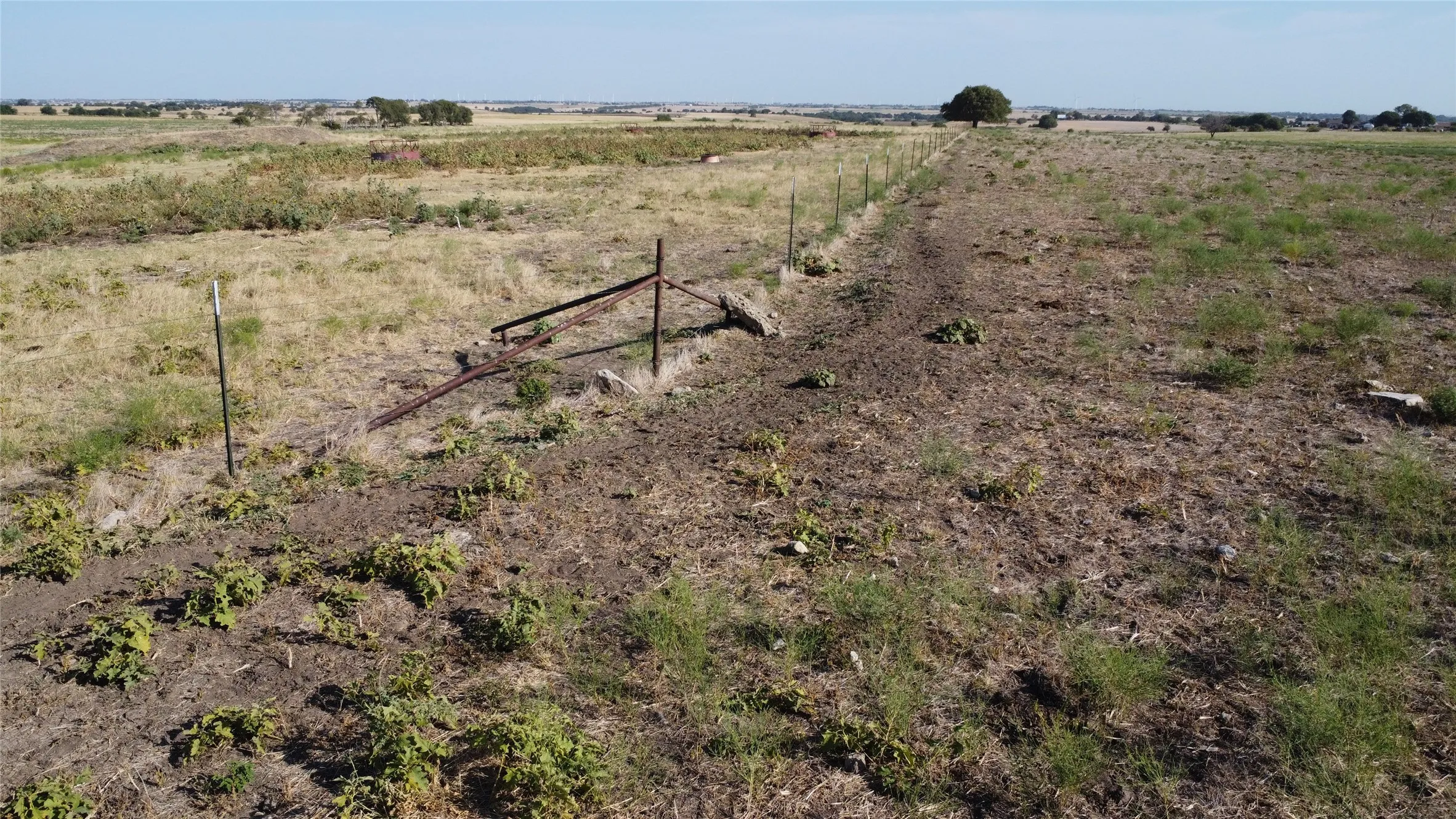 Unimproved Land For Sale in Cooke County , 1630 Fm 1198, Muenster, Texas 76252, 0, 0, Garage spaces, 0 Sqft, built in 0, Price $1,499,999, mls#21367943, Real Estate Agent in Muenster, Homes For Sale in Cooke county, Homes For Sale in Muenster, Realtor in Muenster Texas, Real Estate Brokerage Independent Realty Texas, Luminita Cordes Realtor