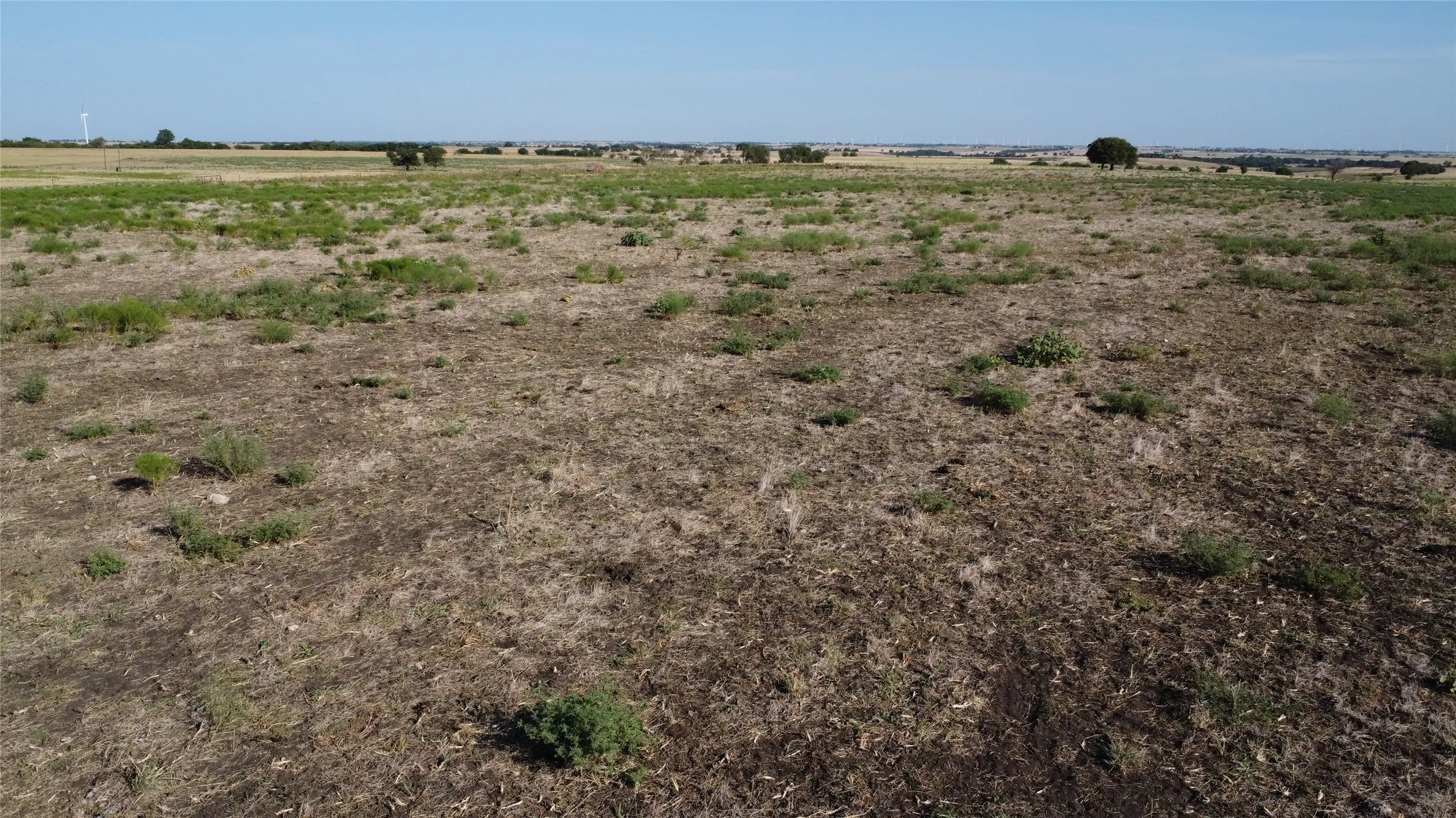 Unimproved Land For Sale in Cooke County , 1630 Fm 1198, Muenster, Texas 76252, 0, 0, Garage spaces, 0 Sqft, built in 0, Price $1,499,999, mls#21367943, Real Estate Agent in Muenster, Homes For Sale in Cooke county, Homes For Sale in Muenster, Realtor in Muenster Texas, Real Estate Brokerage Independent Realty Texas, Luminita Cordes Realtor