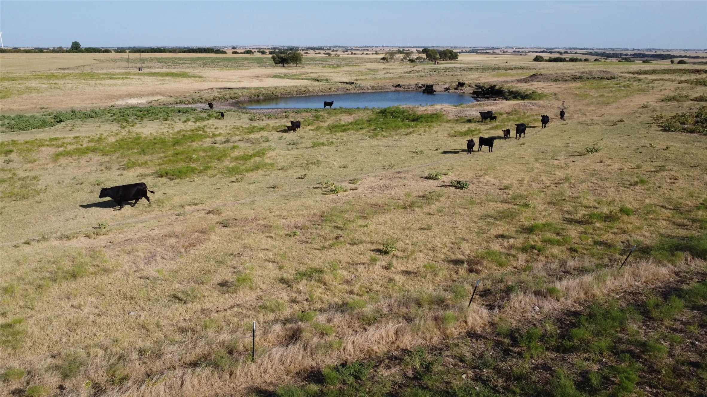 Unimproved Land For Sale in Cooke County , 1630 Fm 1198, Muenster, Texas 76252, 0, 0, Garage spaces, 0 Sqft, built in 0, Price $1,499,999, mls#21367943, Real Estate Agent in Muenster, Homes For Sale in Cooke county, Homes For Sale in Muenster, Realtor in Muenster Texas, Real Estate Brokerage Independent Realty Texas, Luminita Cordes Realtor