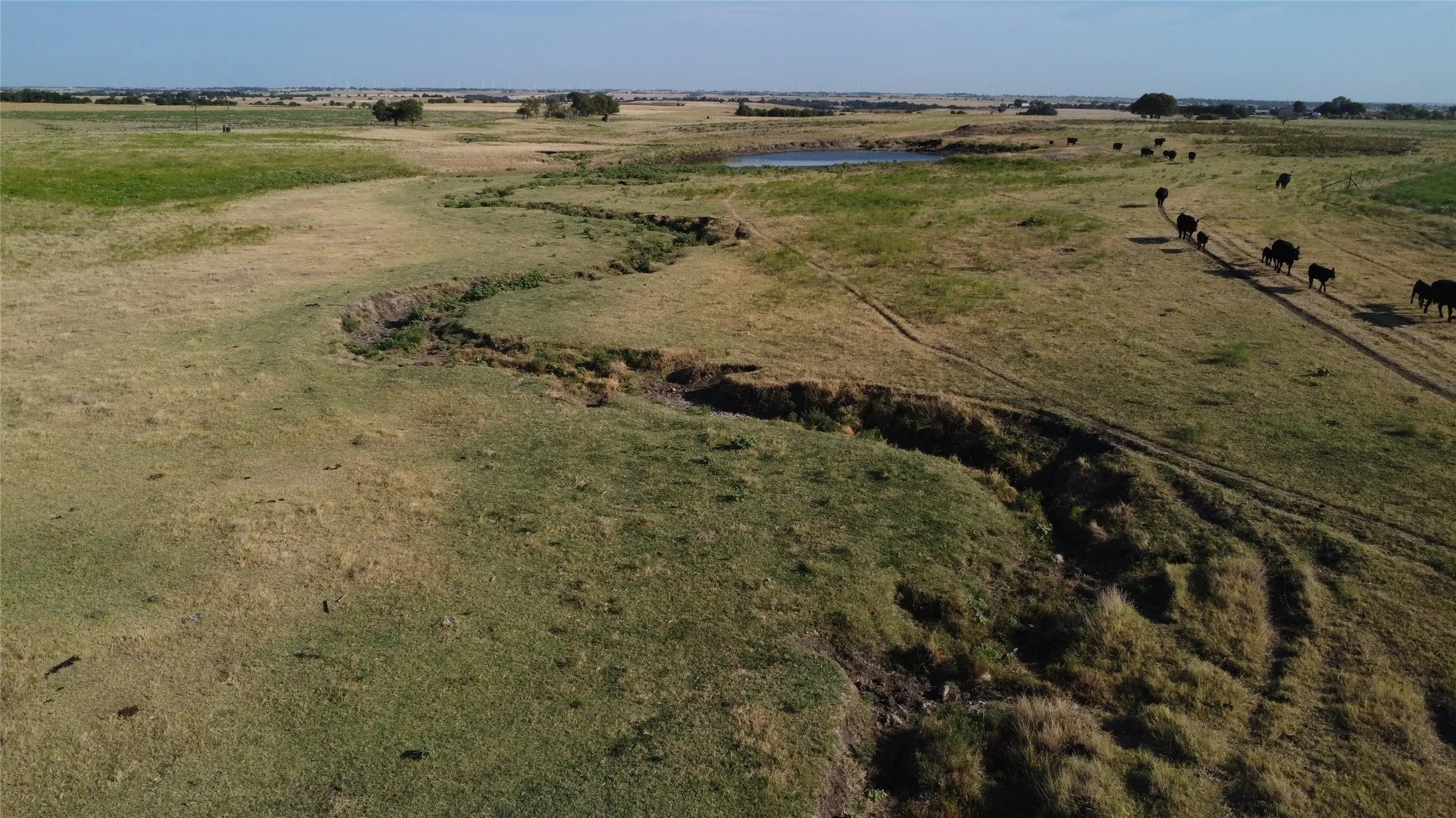 Unimproved Land For Sale in Cooke County , 1630 Fm 1198, Muenster, Texas 76252, 0, 0, Garage spaces, 0 Sqft, built in 0, Price $1,499,999, mls#21367943, Real Estate Agent in Muenster, Homes For Sale in Cooke county, Homes For Sale in Muenster, Realtor in Muenster Texas, Real Estate Brokerage Independent Realty Texas, Luminita Cordes Realtor