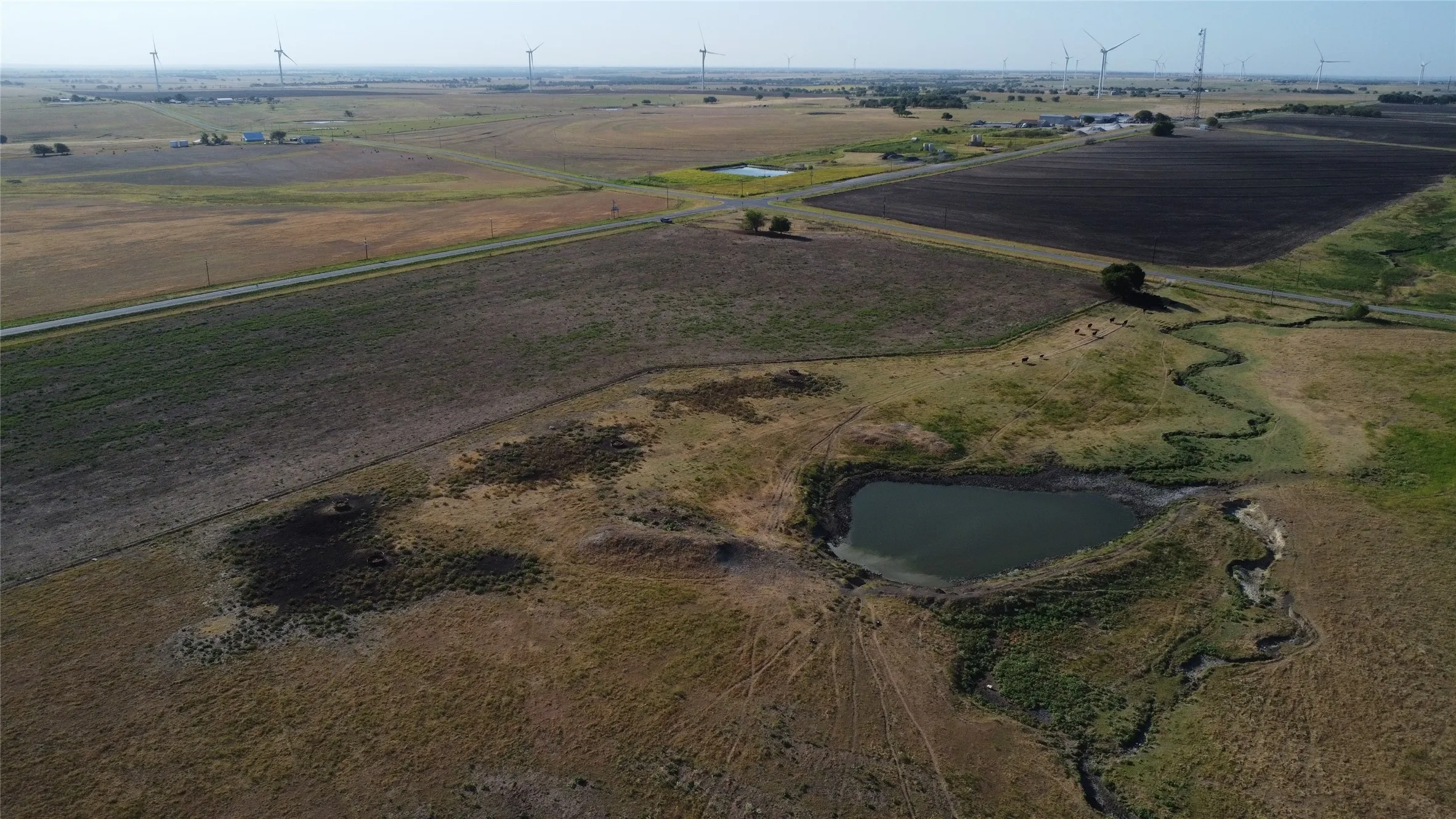 Unimproved Land For Sale in Cooke County , 1630 Fm 1198, Muenster, Texas 76252, 0, 0, Garage spaces, 0 Sqft, built in 0, Price $1,499,999, mls#21367943, Real Estate Agent in Muenster, Homes For Sale in Cooke county, Homes For Sale in Muenster, Realtor in Muenster Texas, Real Estate Brokerage Independent Realty Texas, Luminita Cordes Realtor