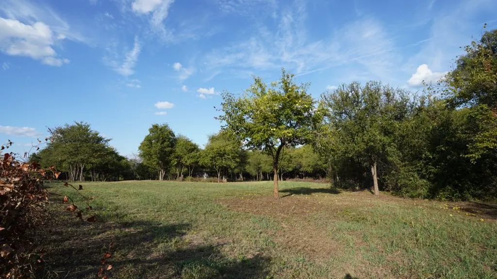 Improved Land For Sale in Collin County , 14215 County Road 606 Lot 2, Farmersville, Texas 75442, 0, 0, Garage spaces, 0 Sqft, built in 0, Price $197,500, mls#21368267, Real Estate Agent in Farmersville, Homes For Sale in Collin county, Homes For Sale in Farmersville, Realtor in Farmersville Texas, Real Estate Brokerage Independent Realty Texas, Luminita Cordes Realtor