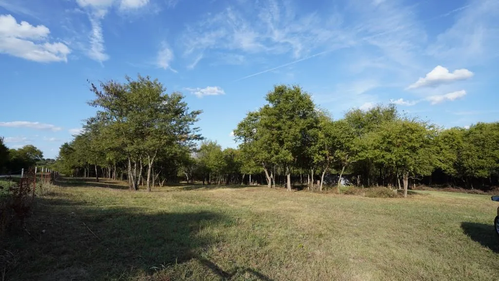 Improved Land For Sale in Collin County , 14215 County Road 606 Lot 2, Farmersville, Texas 75442, 0, 0, Garage spaces, 0 Sqft, built in 0, Price $197,500, mls#21368267, Real Estate Agent in Farmersville, Homes For Sale in Collin county, Homes For Sale in Farmersville, Realtor in Farmersville Texas, Real Estate Brokerage Independent Realty Texas, Luminita Cordes Realtor