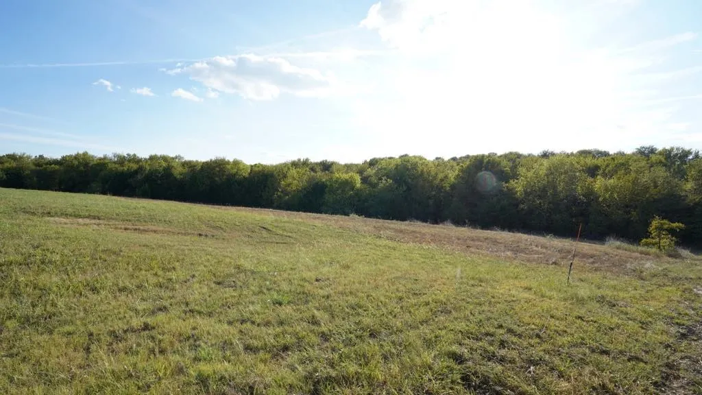 Improved Land For Sale in Collin County , 14215 County Road 606 Lot 2, Farmersville, Texas 75442, 0, 0, Garage spaces, 0 Sqft, built in 0, Price $197,500, mls#21368267, Real Estate Agent in Farmersville, Homes For Sale in Collin county, Homes For Sale in Farmersville, Realtor in Farmersville Texas, Real Estate Brokerage Independent Realty Texas, Luminita Cordes Realtor