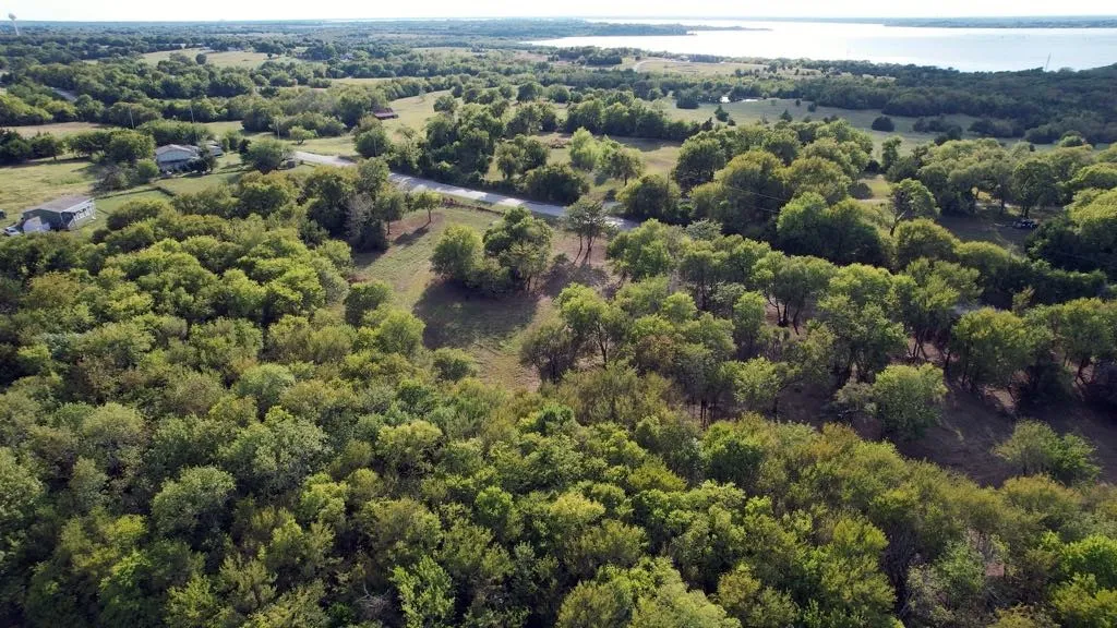 Improved Land For Sale in Collin County , 14215 County Road 606 Lot 2, Farmersville, Texas 75442, 0, 0, Garage spaces, 0 Sqft, built in 0, Price $197,500, mls#21368267, Real Estate Agent in Farmersville, Homes For Sale in Collin county, Homes For Sale in Farmersville, Realtor in Farmersville Texas, Real Estate Brokerage Independent Realty Texas, Luminita Cordes Realtor
