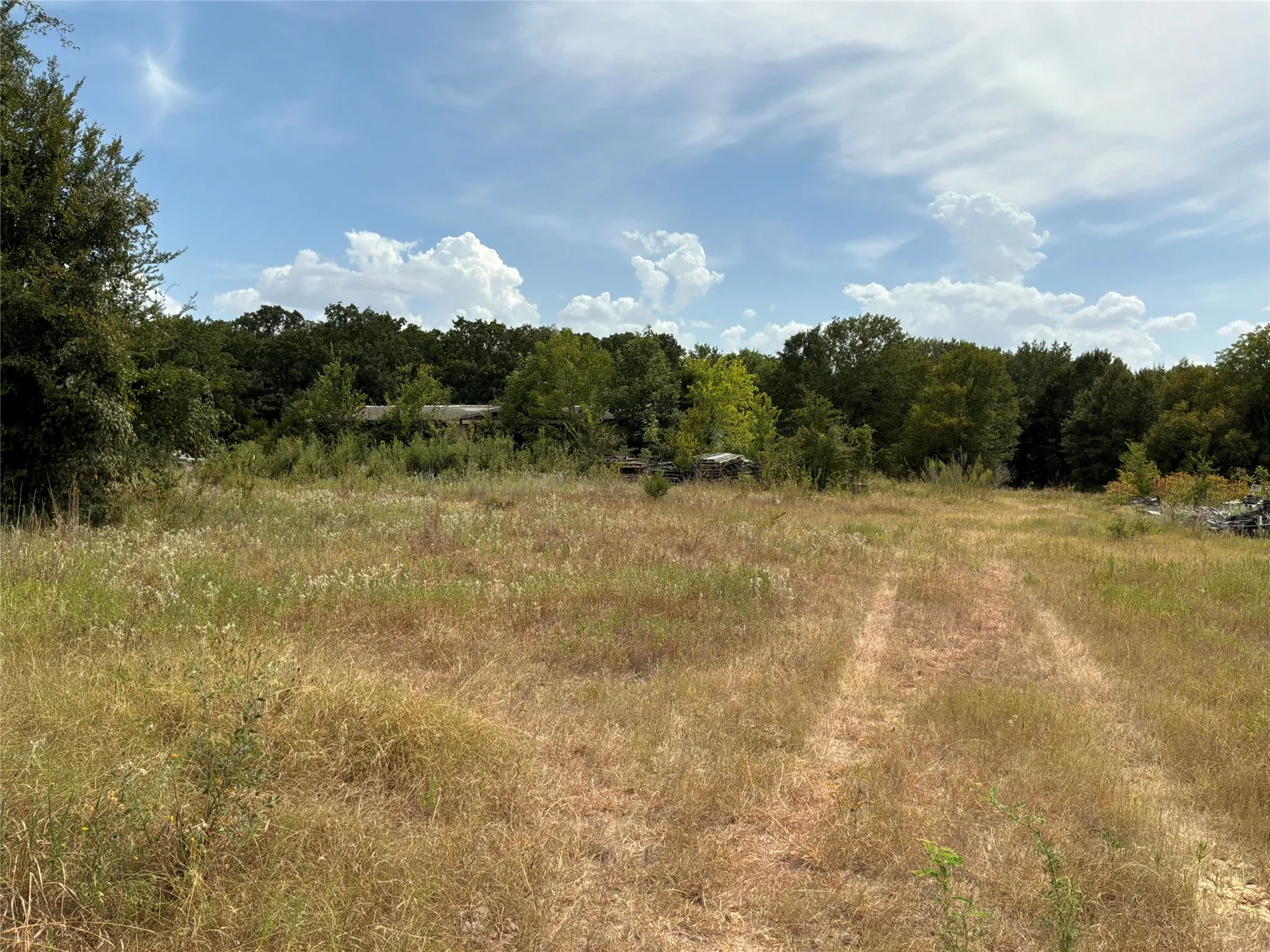 Improved Land For Sale in Navarro County , 6858 SW County Road 0022 Road, Corsicana, Texas 75109, 0, 0, Garage spaces, 0 Sqft, built in 0, mls#21368255, Real Estate Agent in Corsicana, Homes For Sale in Navarro county, Homes For Sale in Corsicana, Realtor in Corsicana Texas, Real Estate Brokerage Independent Realty Texas, Luminita Cordes Realtor