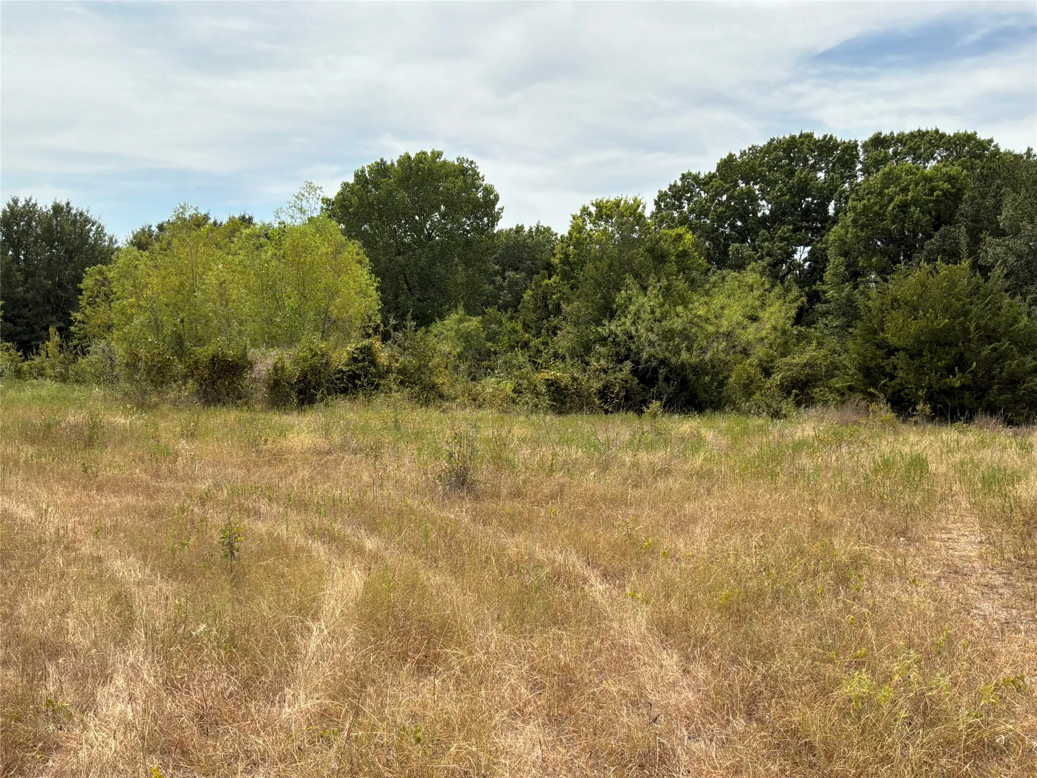 Improved Land For Sale in Navarro County , 6858 SW County Road 0022 Road, Corsicana, Texas 75109, 0, 0, Garage spaces, 0 Sqft, built in 0, mls#21368255, Real Estate Agent in Corsicana, Homes For Sale in Navarro county, Homes For Sale in Corsicana, Realtor in Corsicana Texas, Real Estate Brokerage Independent Realty Texas, Luminita Cordes Realtor