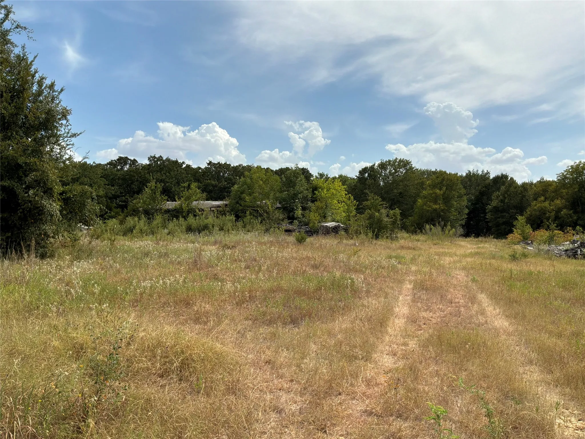 Improved Land For Sale in Navarro County , 6858 SW County Road 0022 Road, Corsicana, Texas 75109, 0, 0, Garage spaces, 0 Sqft, built in 0, mls#21368255, Real Estate Agent in Corsicana, Homes For Sale in Navarro county, Homes For Sale in Corsicana, Realtor in Corsicana Texas, Real Estate Brokerage Independent Realty Texas, Luminita Cordes Realtor