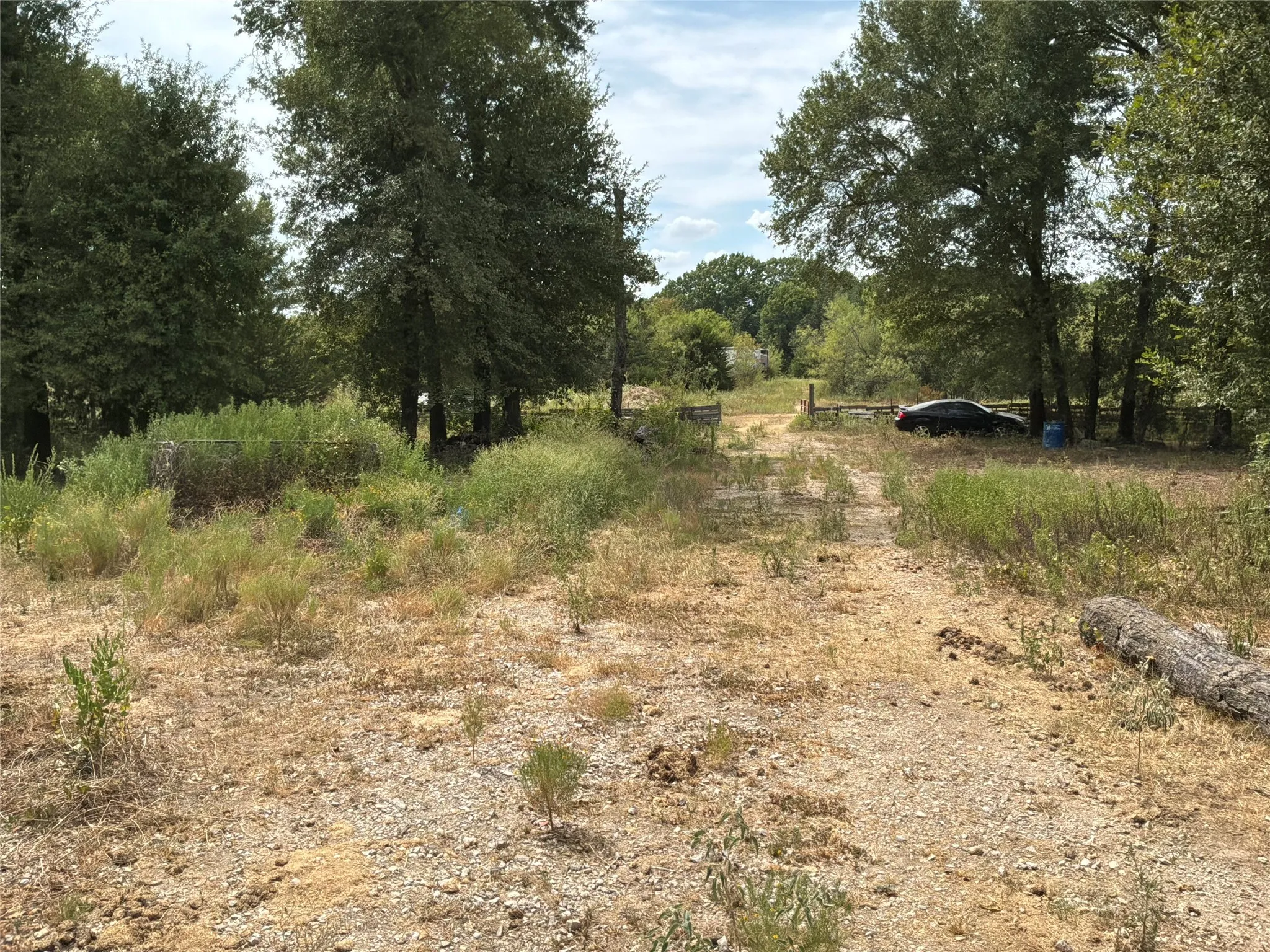 Improved Land For Sale in Navarro County , 6858 SW County Road 0022 Road, Corsicana, Texas 75109, 0, 0, Garage spaces, 0 Sqft, built in 0, mls#21368255, Real Estate Agent in Corsicana, Homes For Sale in Navarro county, Homes For Sale in Corsicana, Realtor in Corsicana Texas, Real Estate Brokerage Independent Realty Texas, Luminita Cordes Realtor