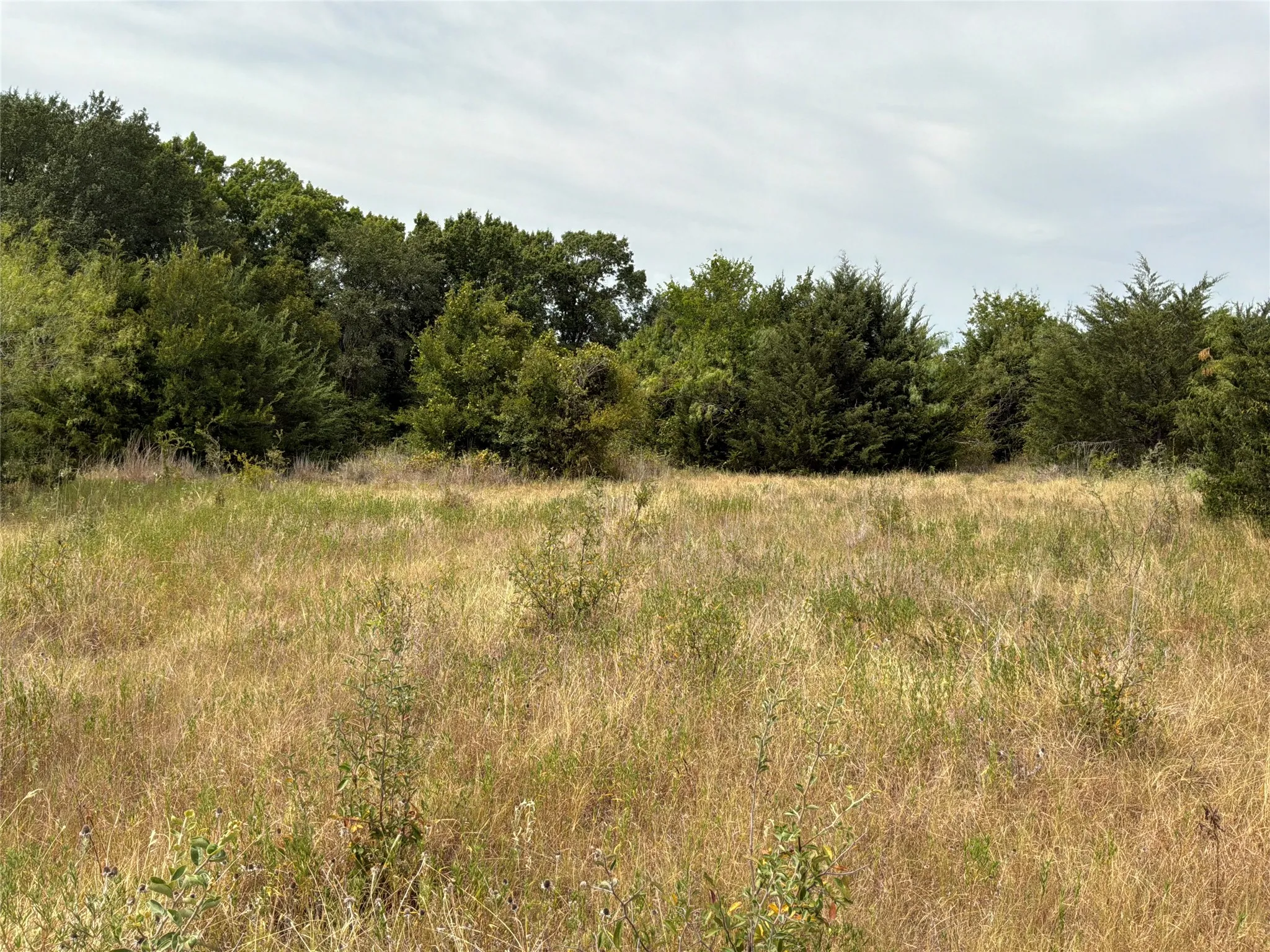 Improved Land For Sale in Navarro County , 6858 SW County Road 0022 Road, Corsicana, Texas 75109, 0, 0, Garage spaces, 0 Sqft, built in 0, mls#21368255, Real Estate Agent in Corsicana, Homes For Sale in Navarro county, Homes For Sale in Corsicana, Realtor in Corsicana Texas, Real Estate Brokerage Independent Realty Texas, Luminita Cordes Realtor