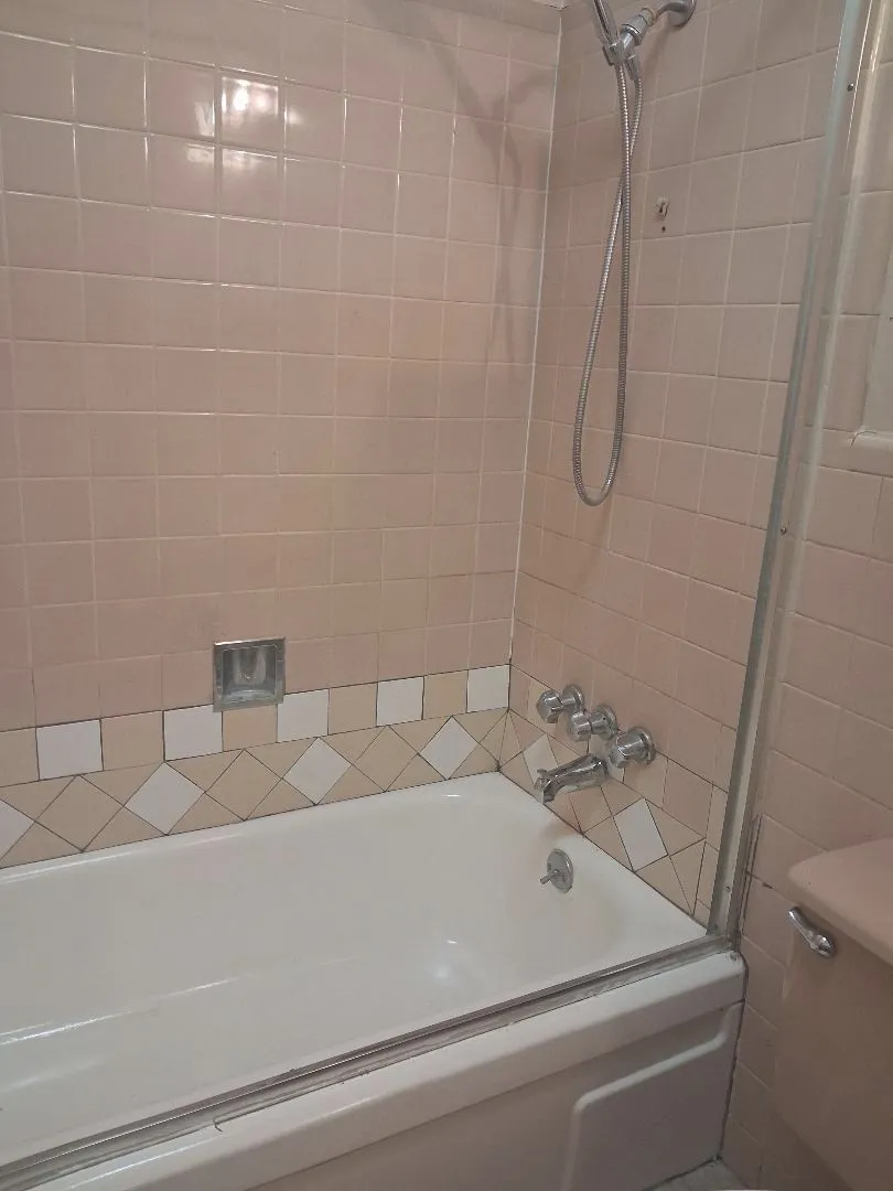 TUB AND SHOWER COMBO IN HALL BATH